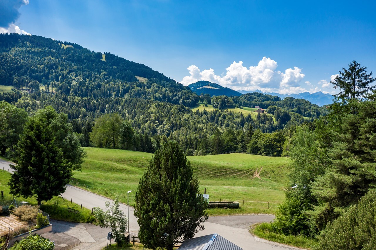 Premier coup d'oeil 4