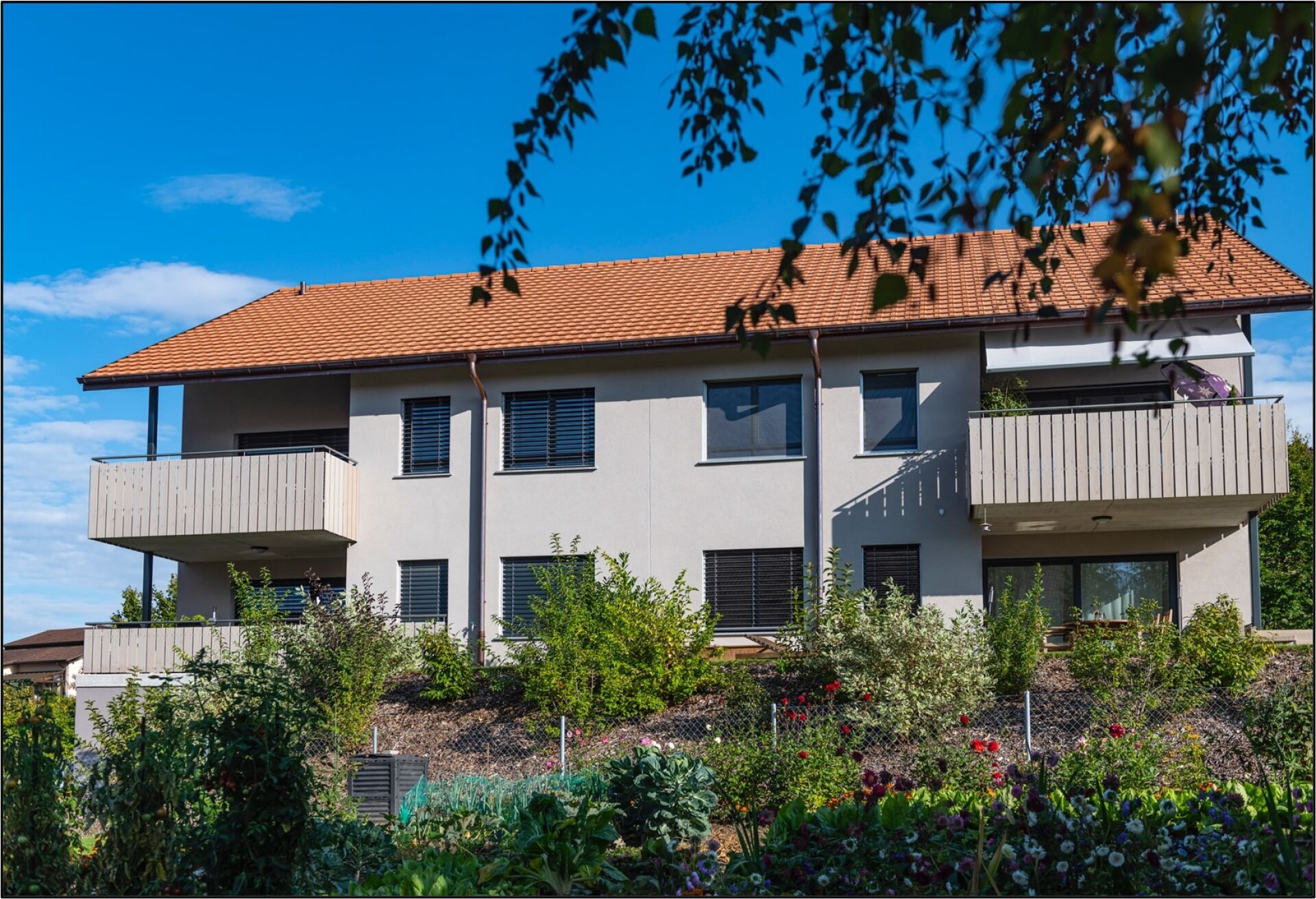 Premier coup d'oeil 2