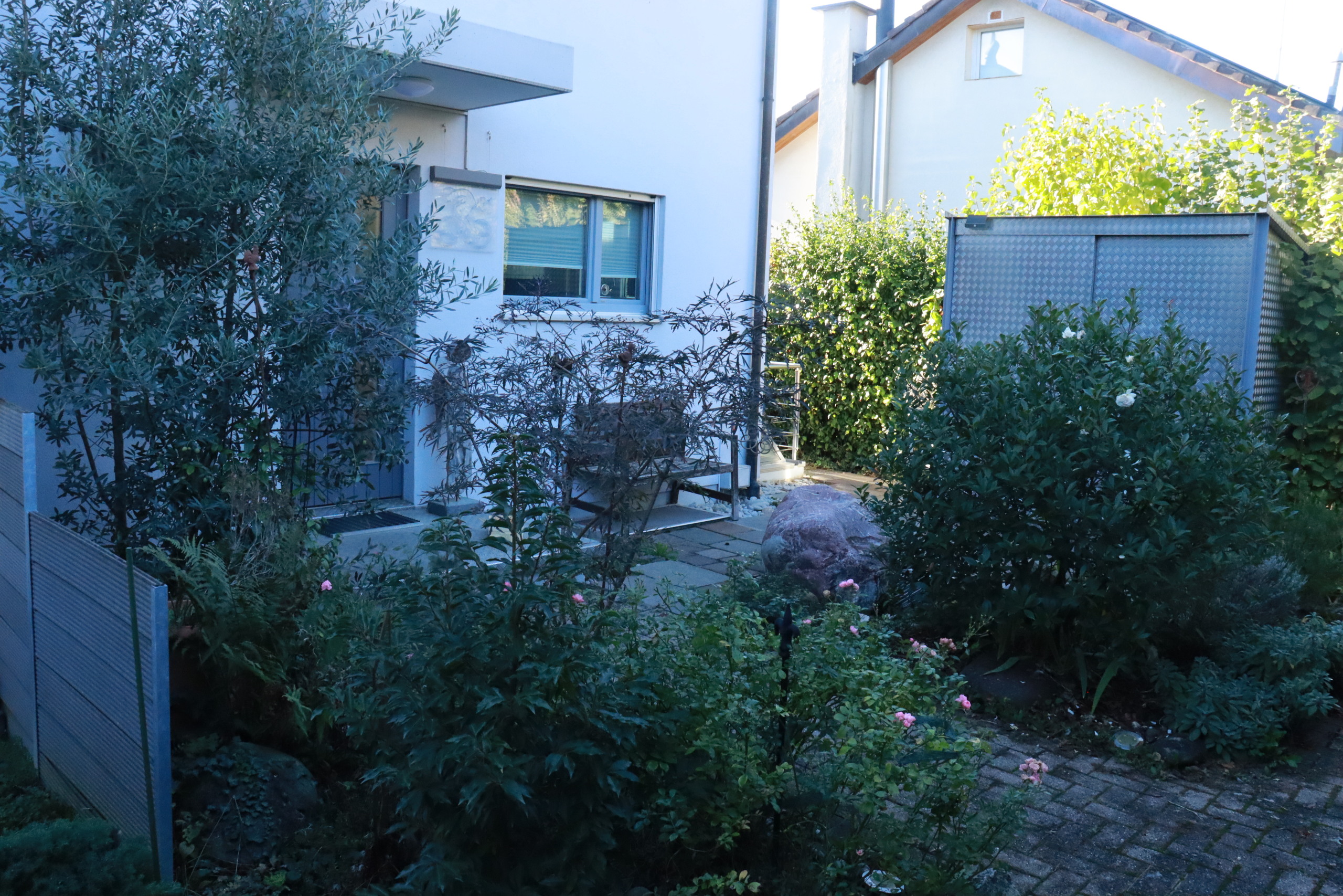 Foto 15