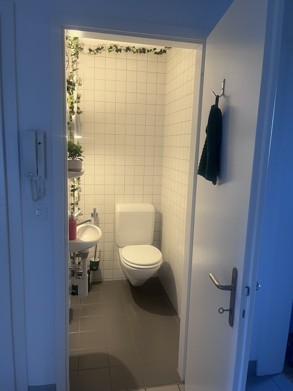 Foto 5