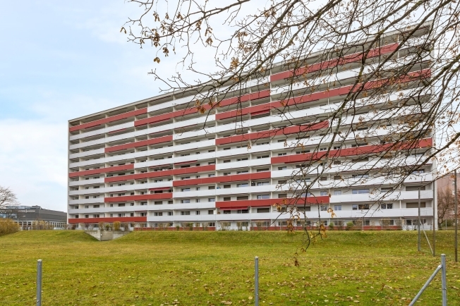 Immagine di copertina