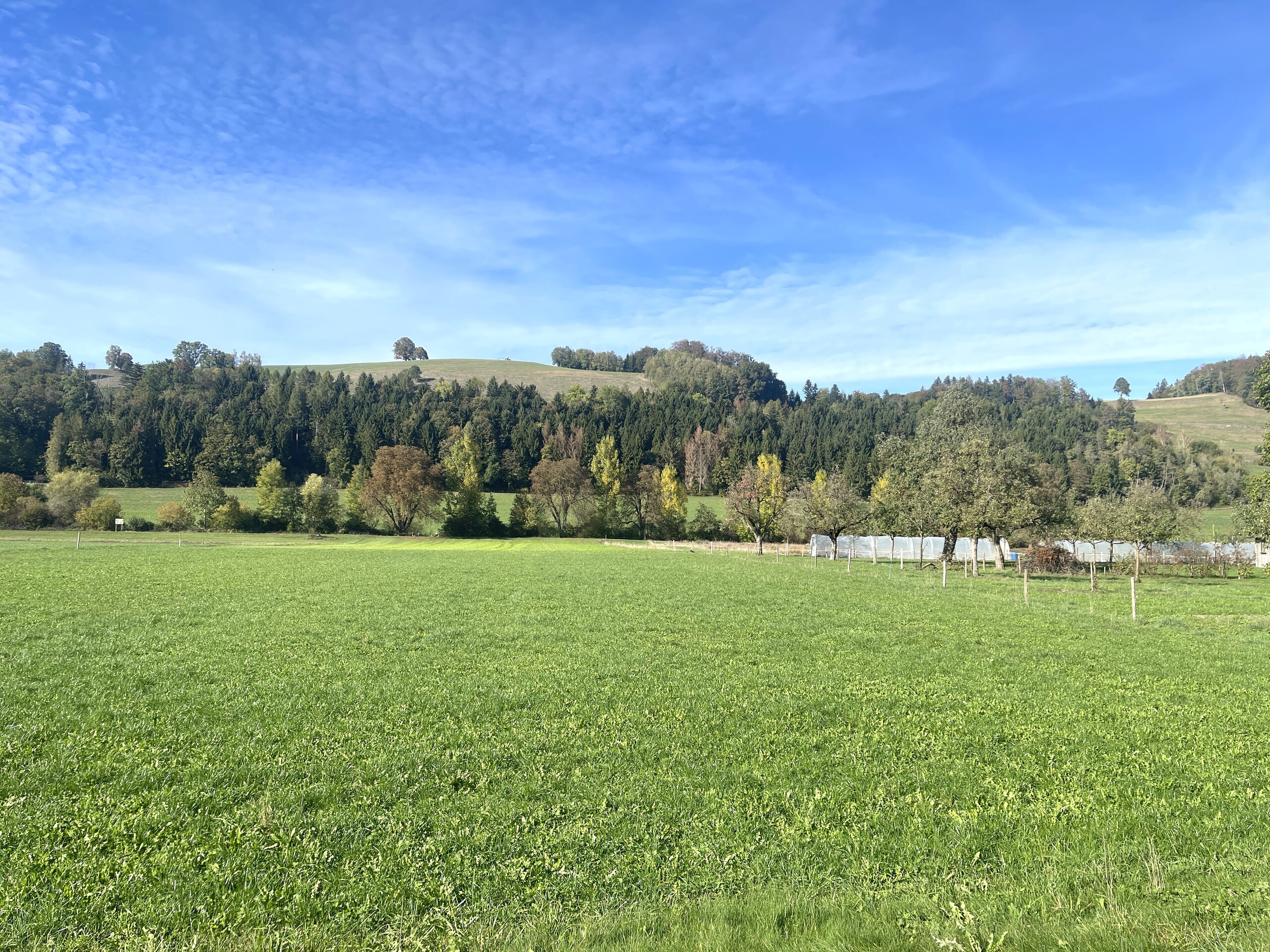 Ausblick ins Grüne Ausblick ins Grüne