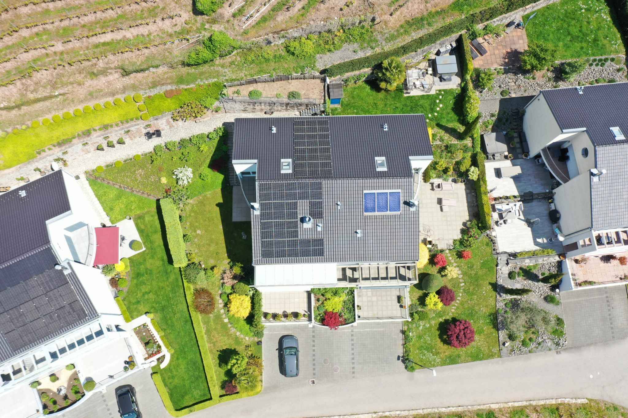 Premier coup d'oeil 1