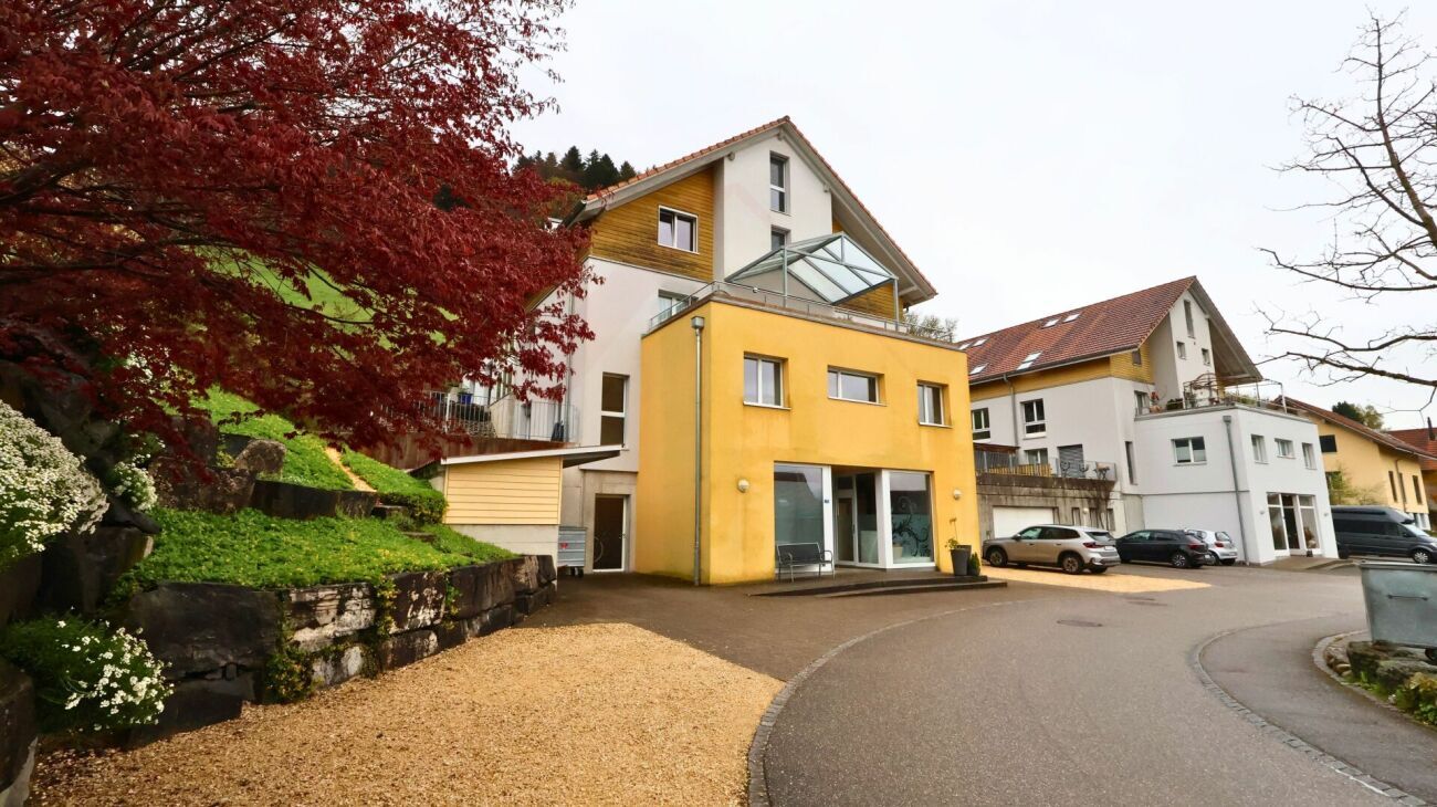 Fassadenansicht (Front, Rückseite, Seite) ? Vue de la façade (avant, arrière, côté)