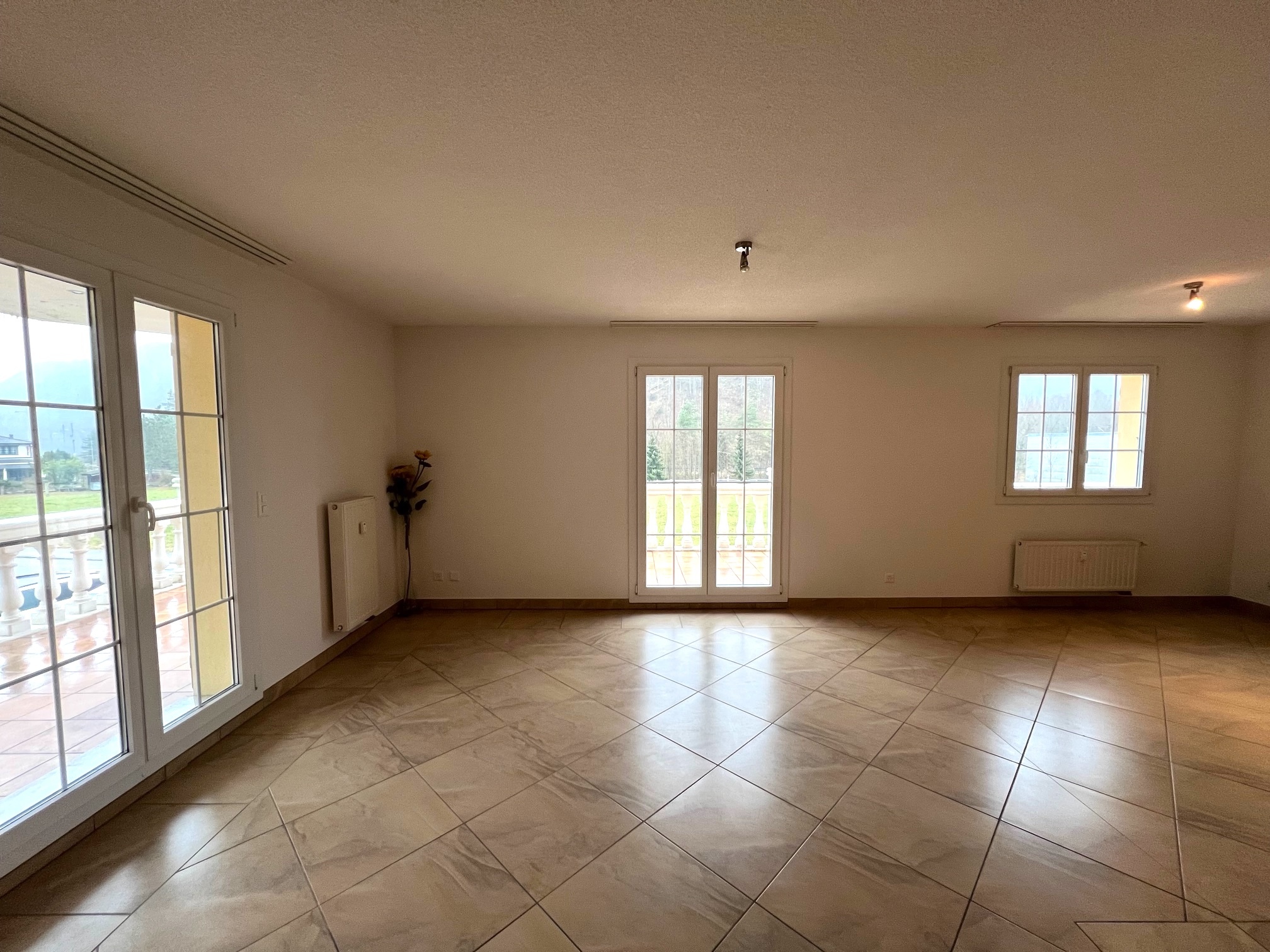 Salon -salle à manger