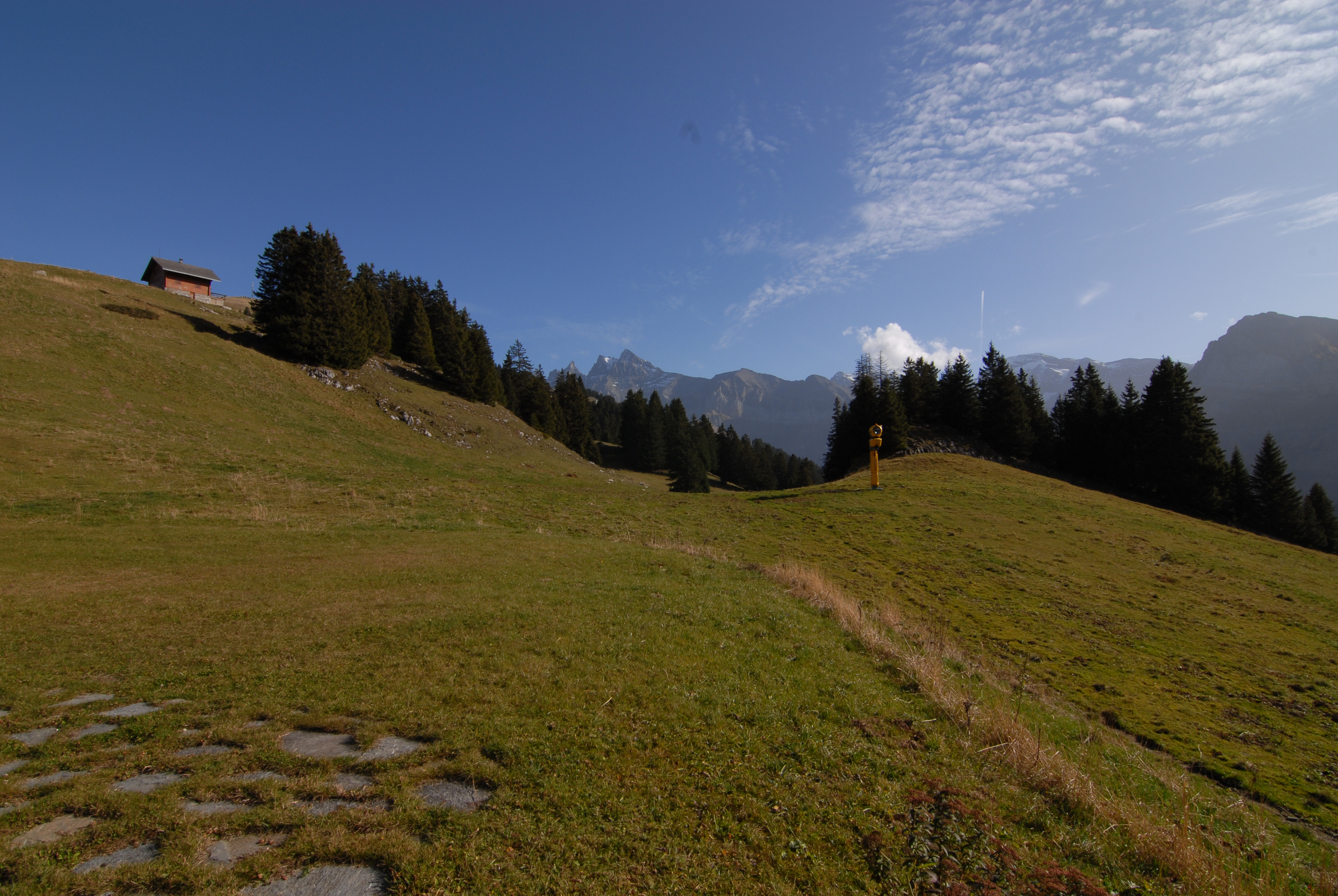 Photo 46