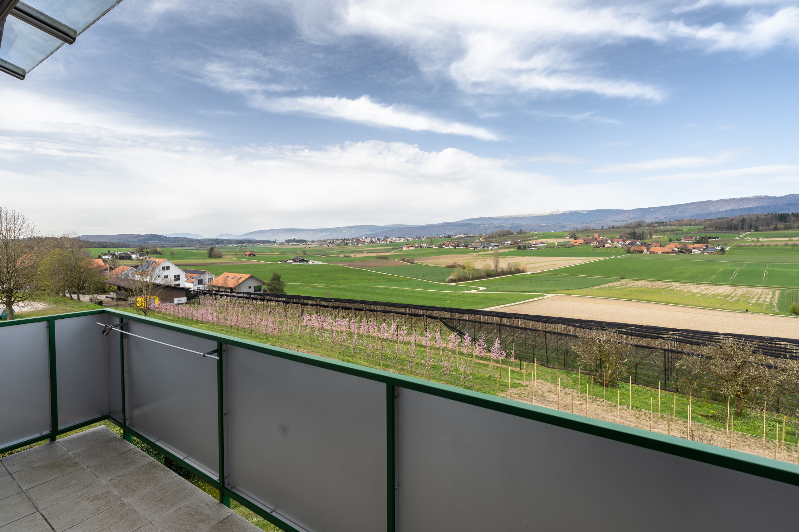 JURASICHT BALKON NORDWEST-SEITE