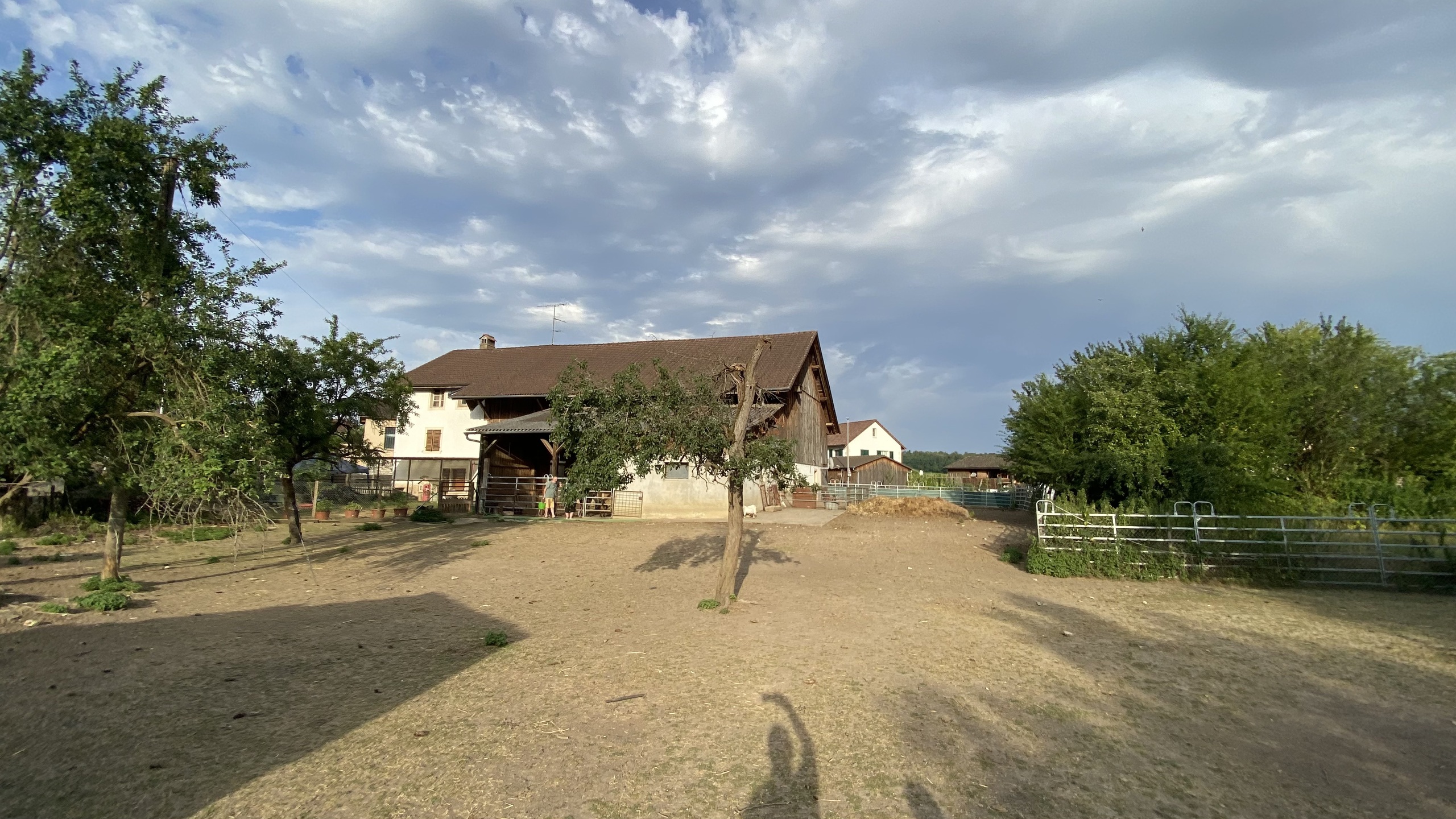 Photo 26