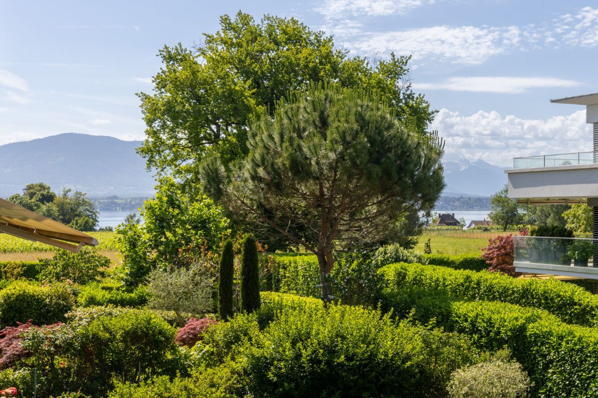 Vue depuis le balcon