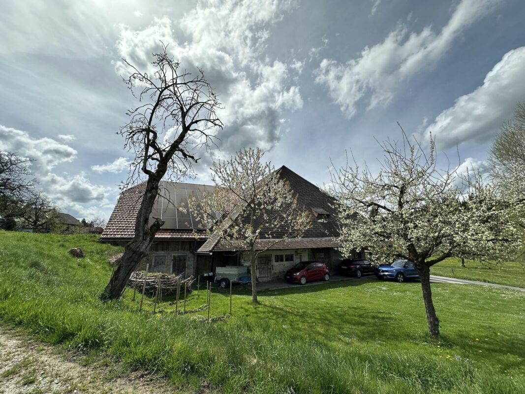 Ansicht Nordost; Obstbäume