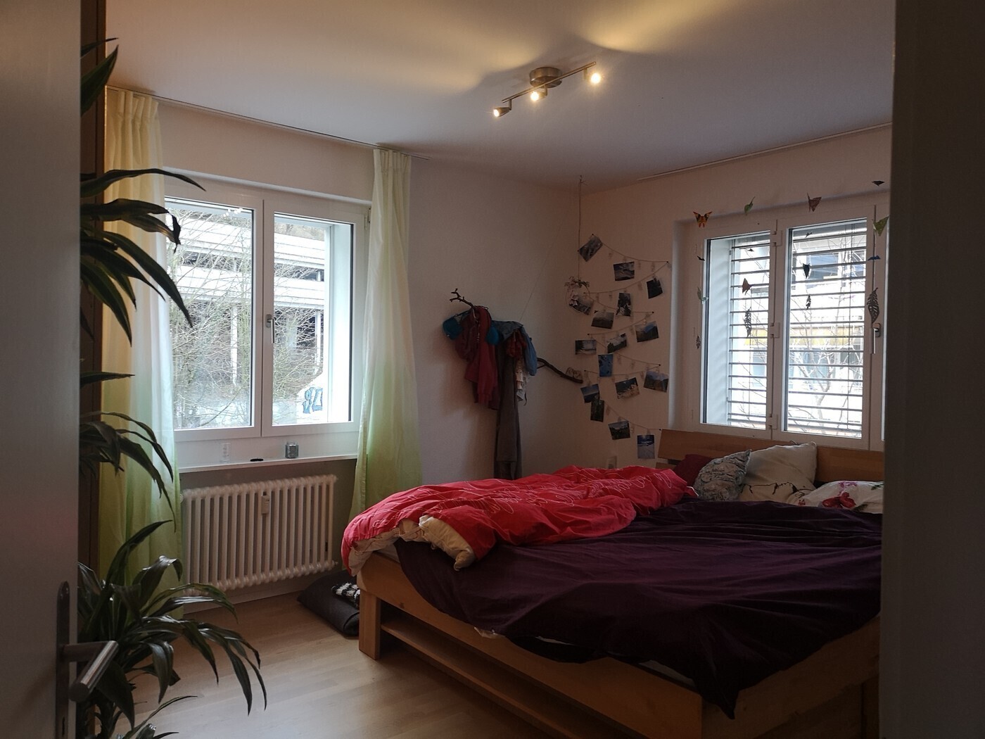 Picture 3
