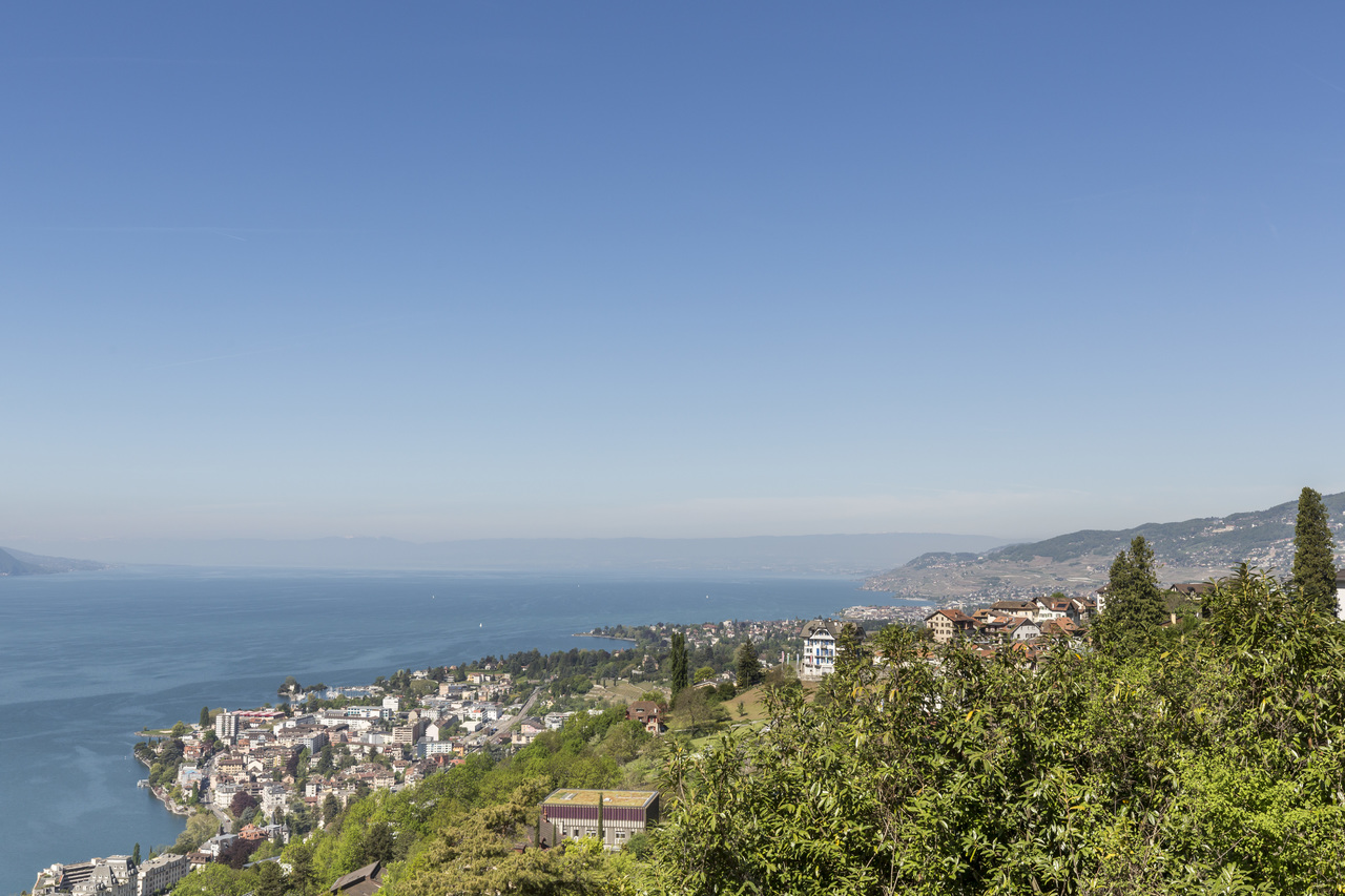 Vue panoramique  Vue panoramique