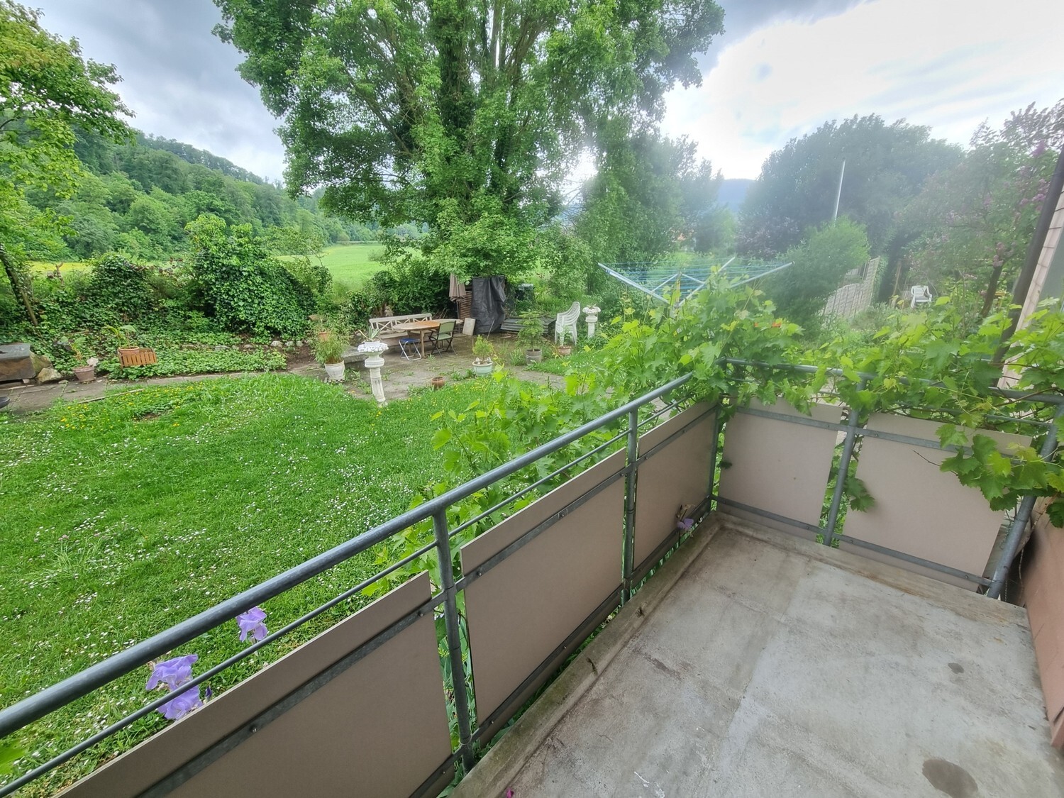 Foto 4