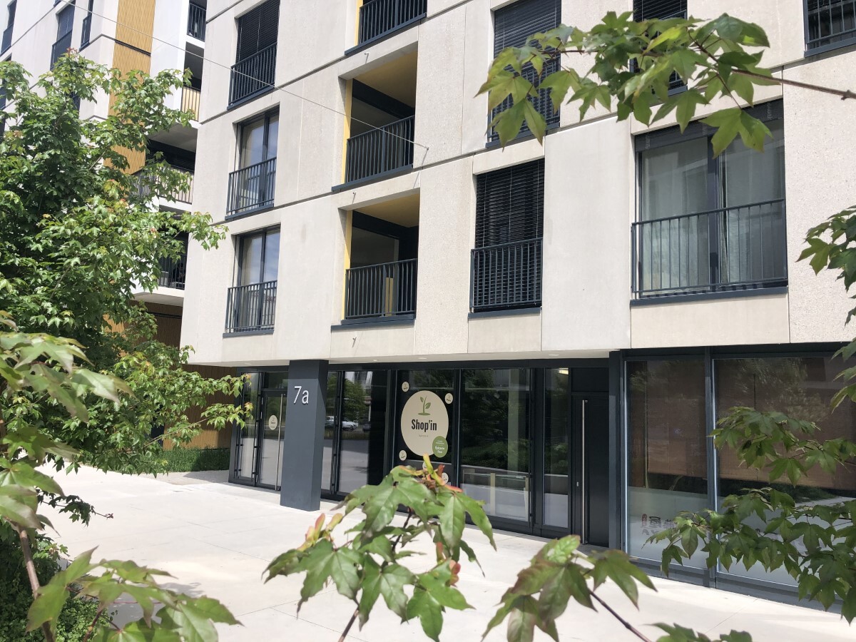 Immagine di copertina