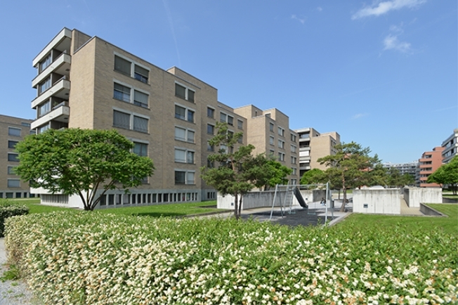 Immagine di copertina