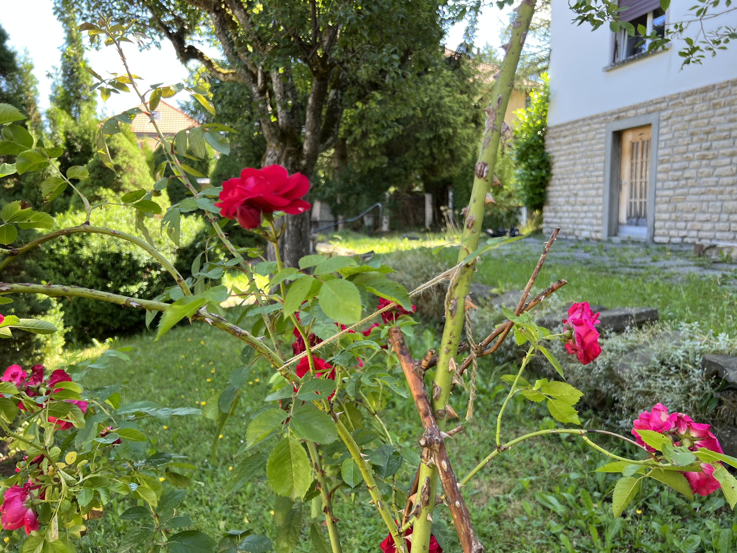 Photo 1