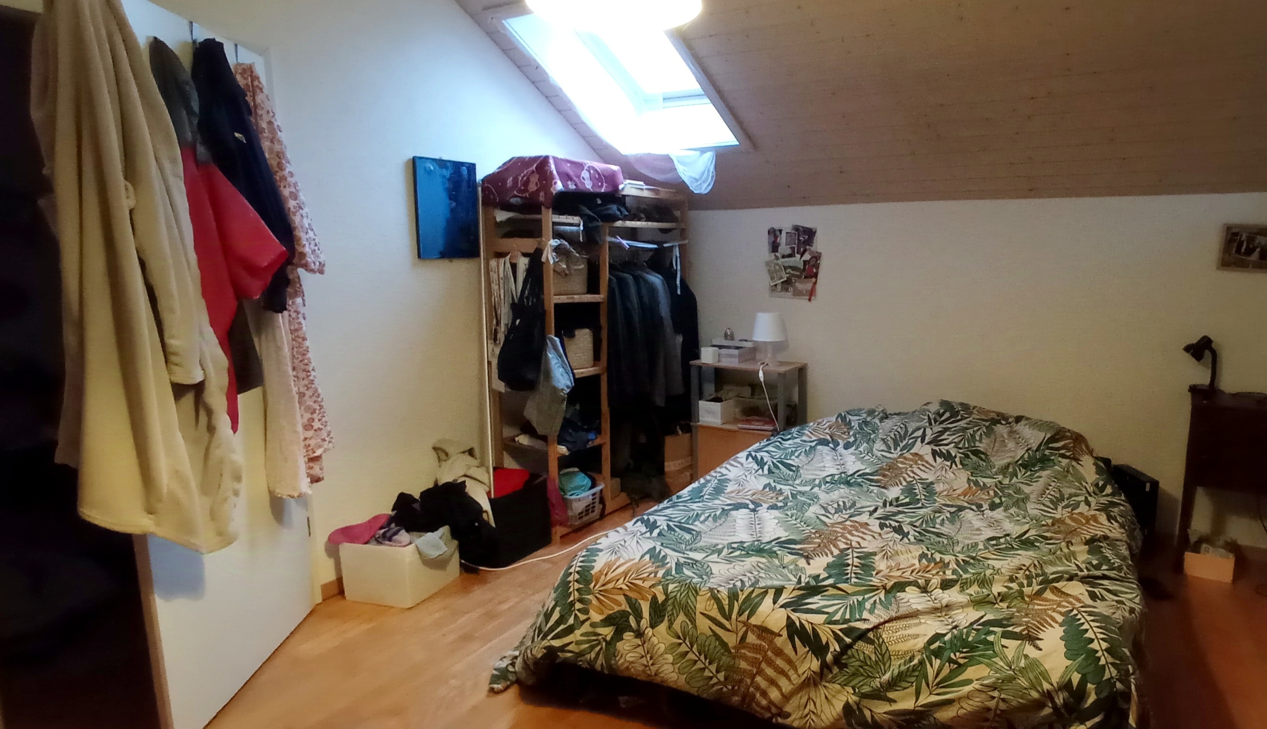 Photo 6