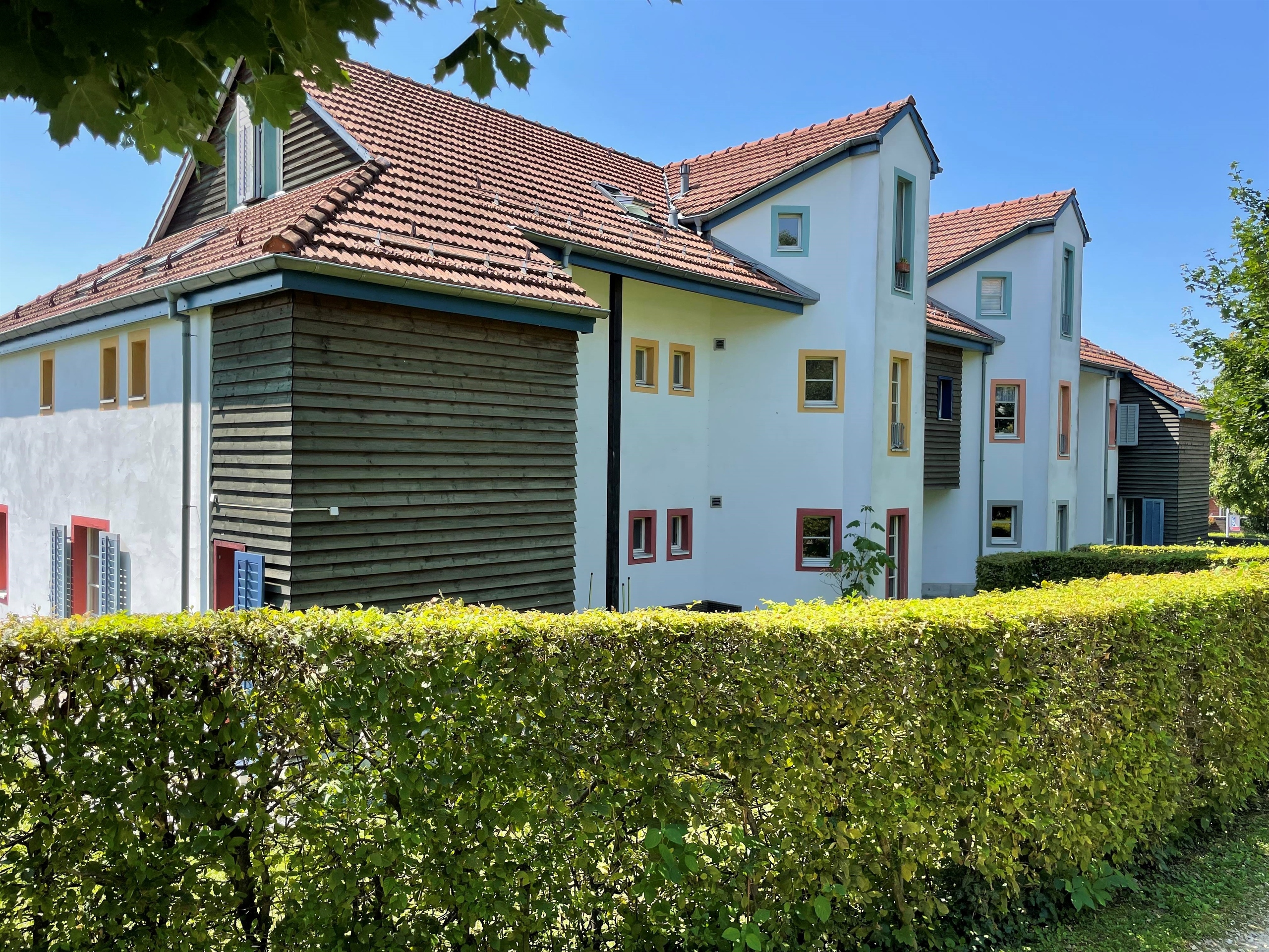 Foto 1