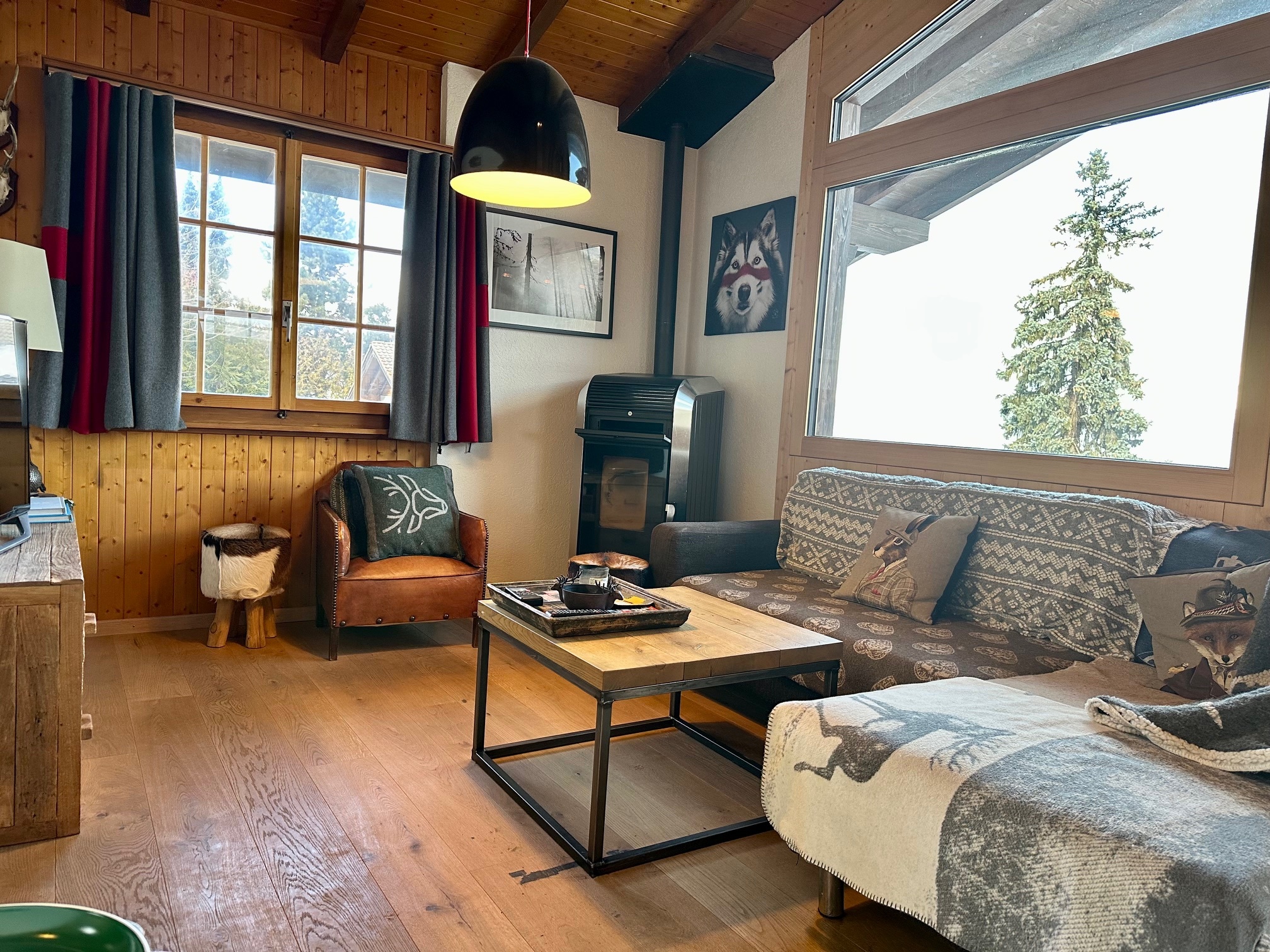 Interior view 4