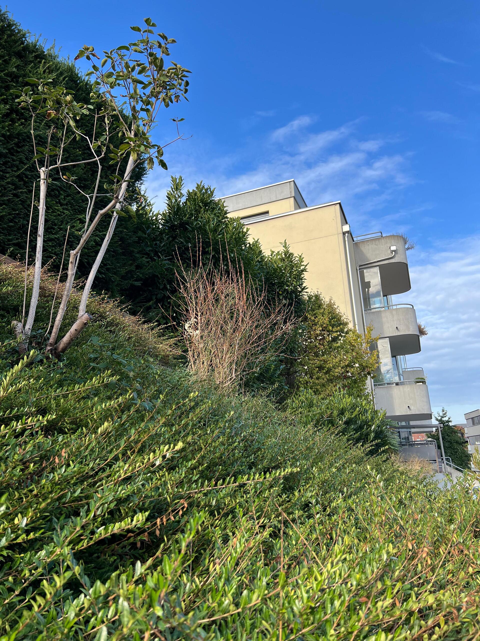 Vue extérieure 3