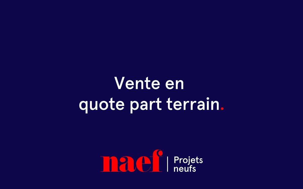 Immagine di copertina 2