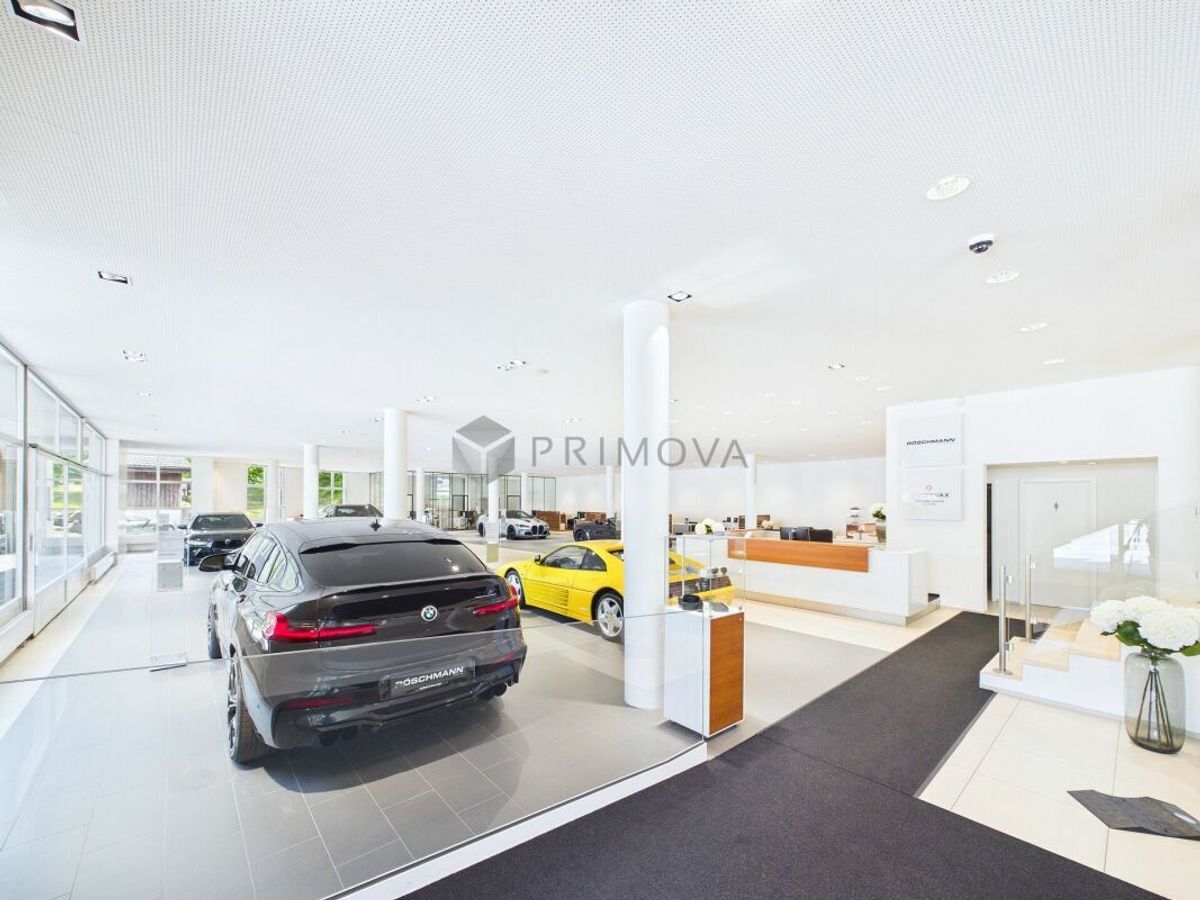 Picture 5