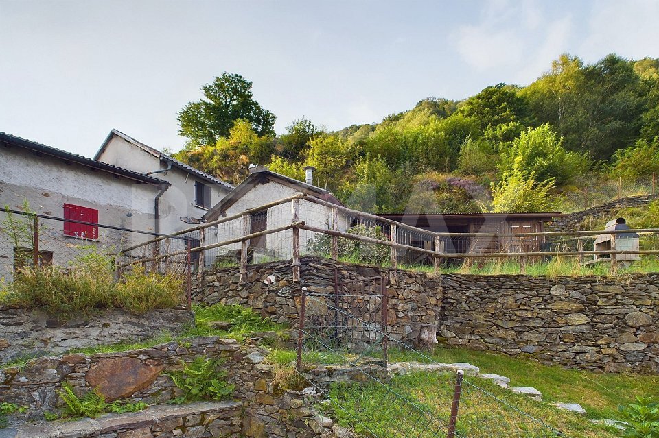 Immagine di copertina 2