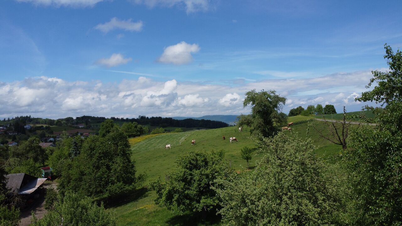 Auf einen Blick