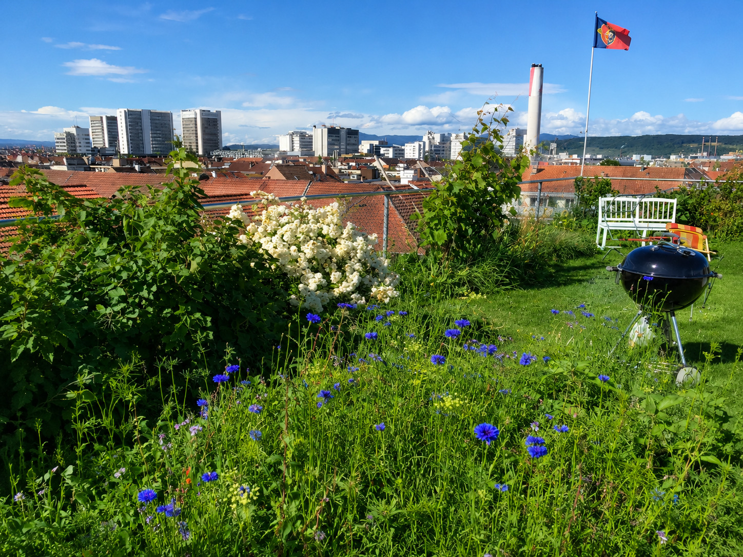 jardin sur le toit