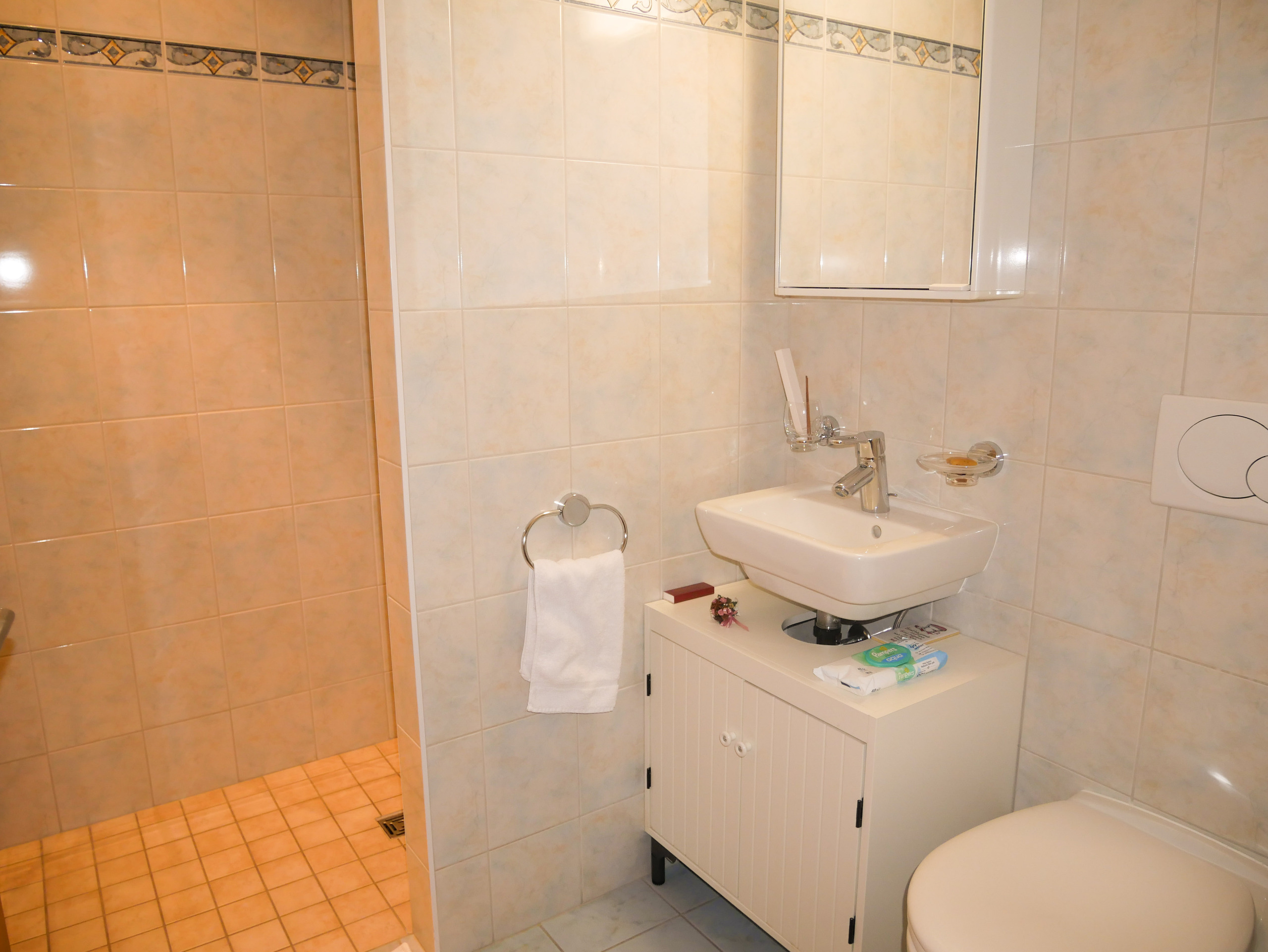 Salle de bain avec douche Salle de bain avec douche