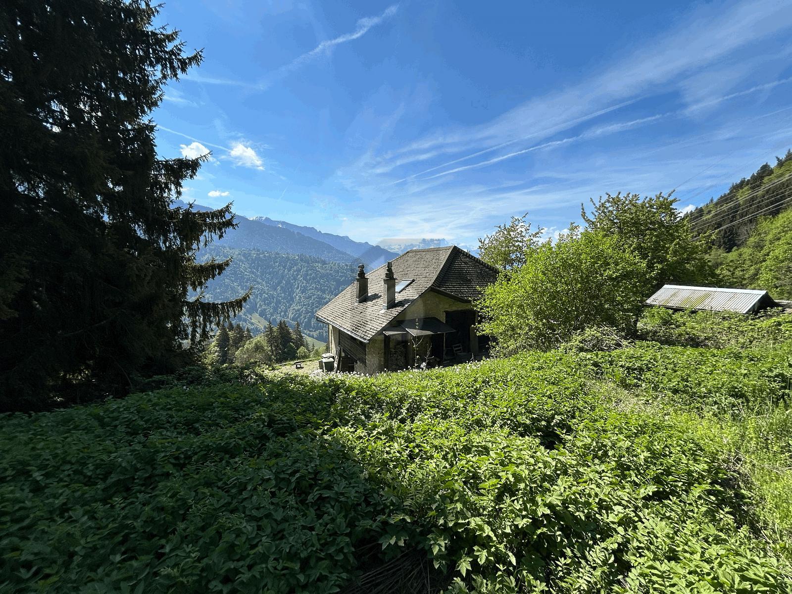Foto 1