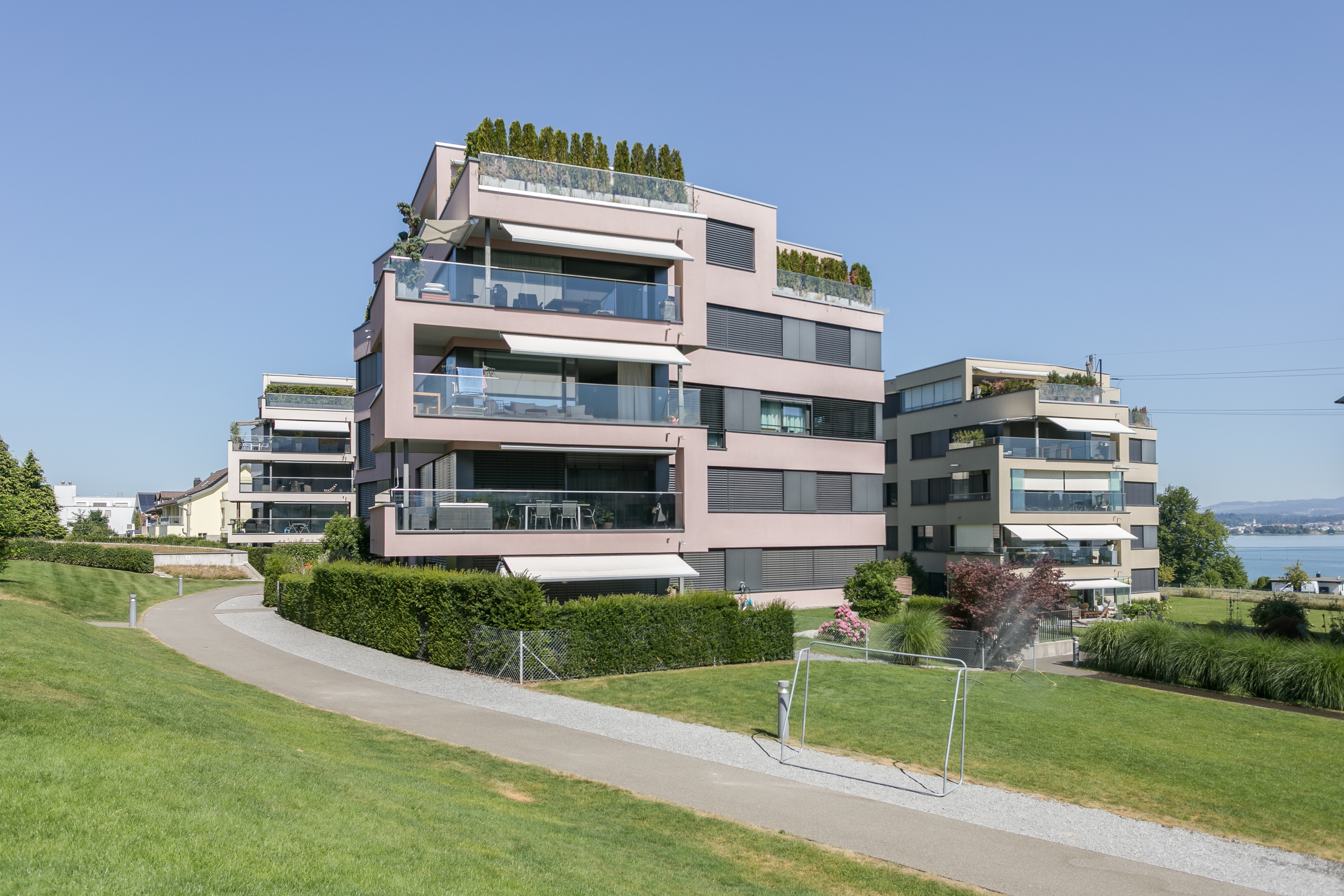 Immagine di copertina