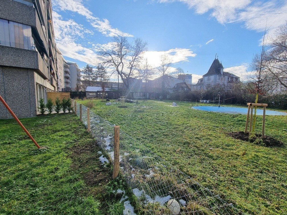 Photo 6