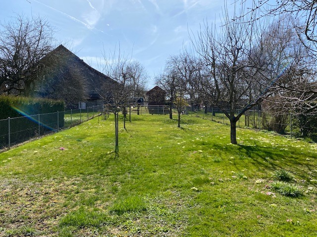 jardin jardin