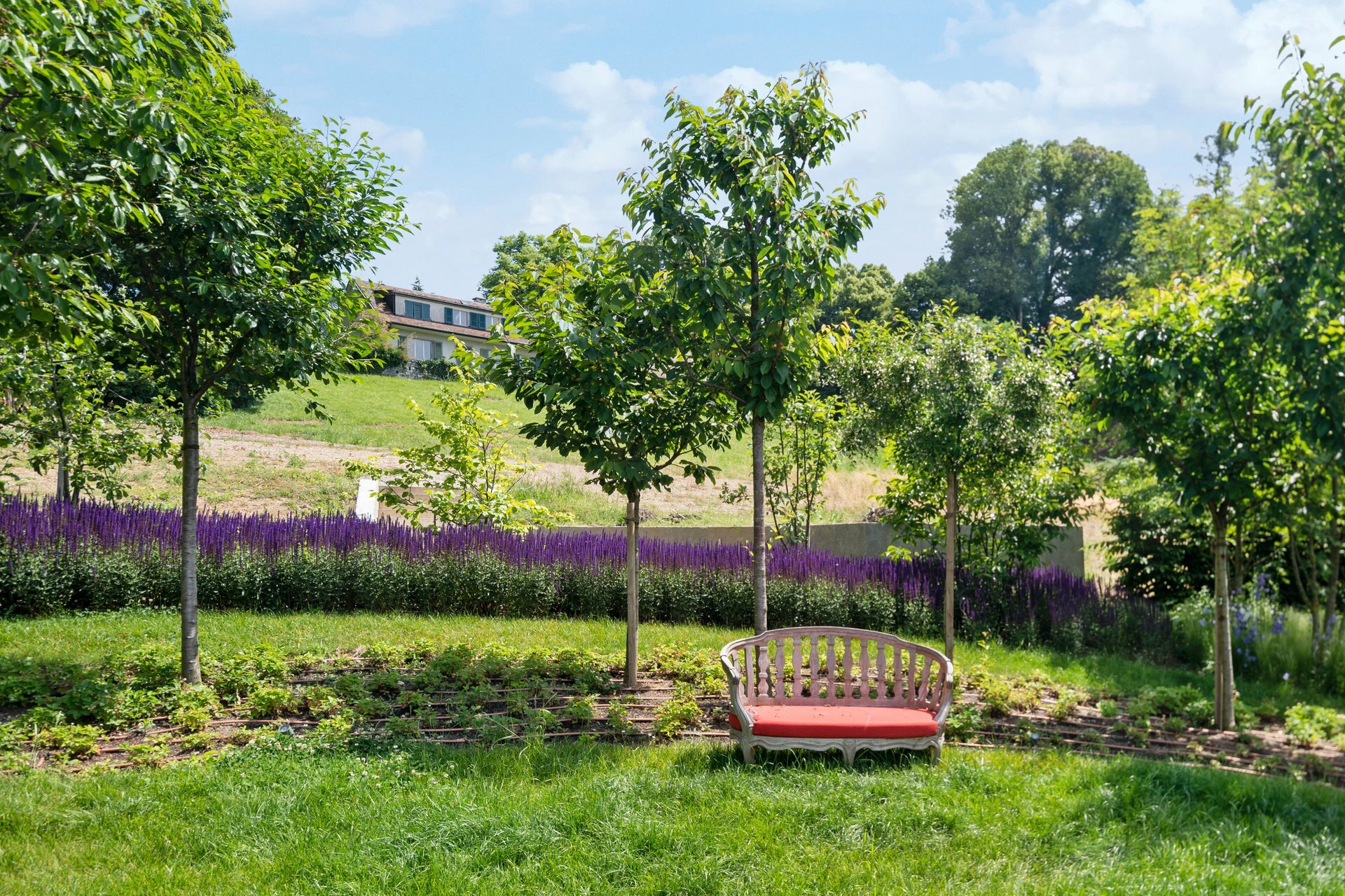 Maison secondaire et terrain