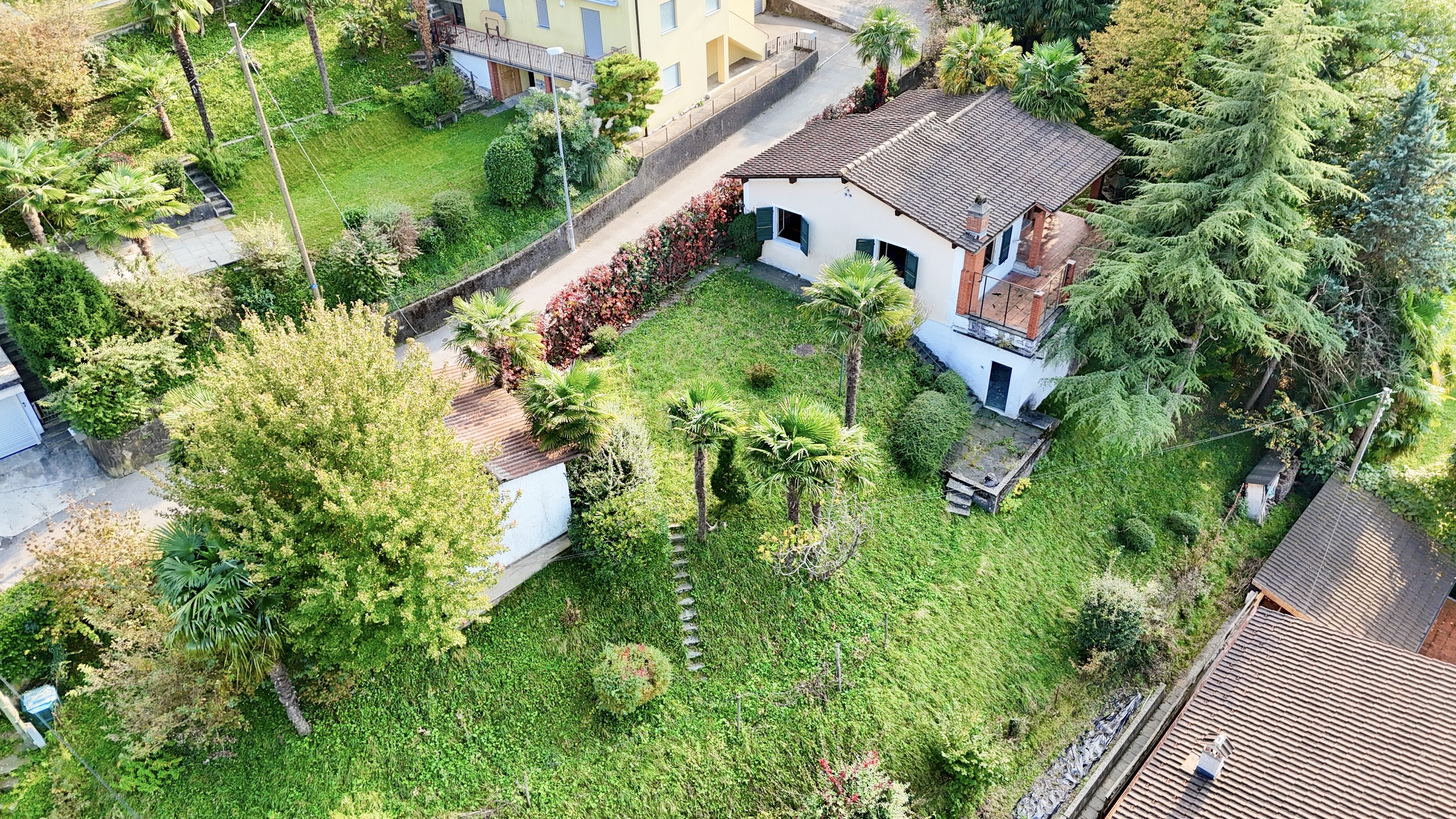 Immagine di copertina