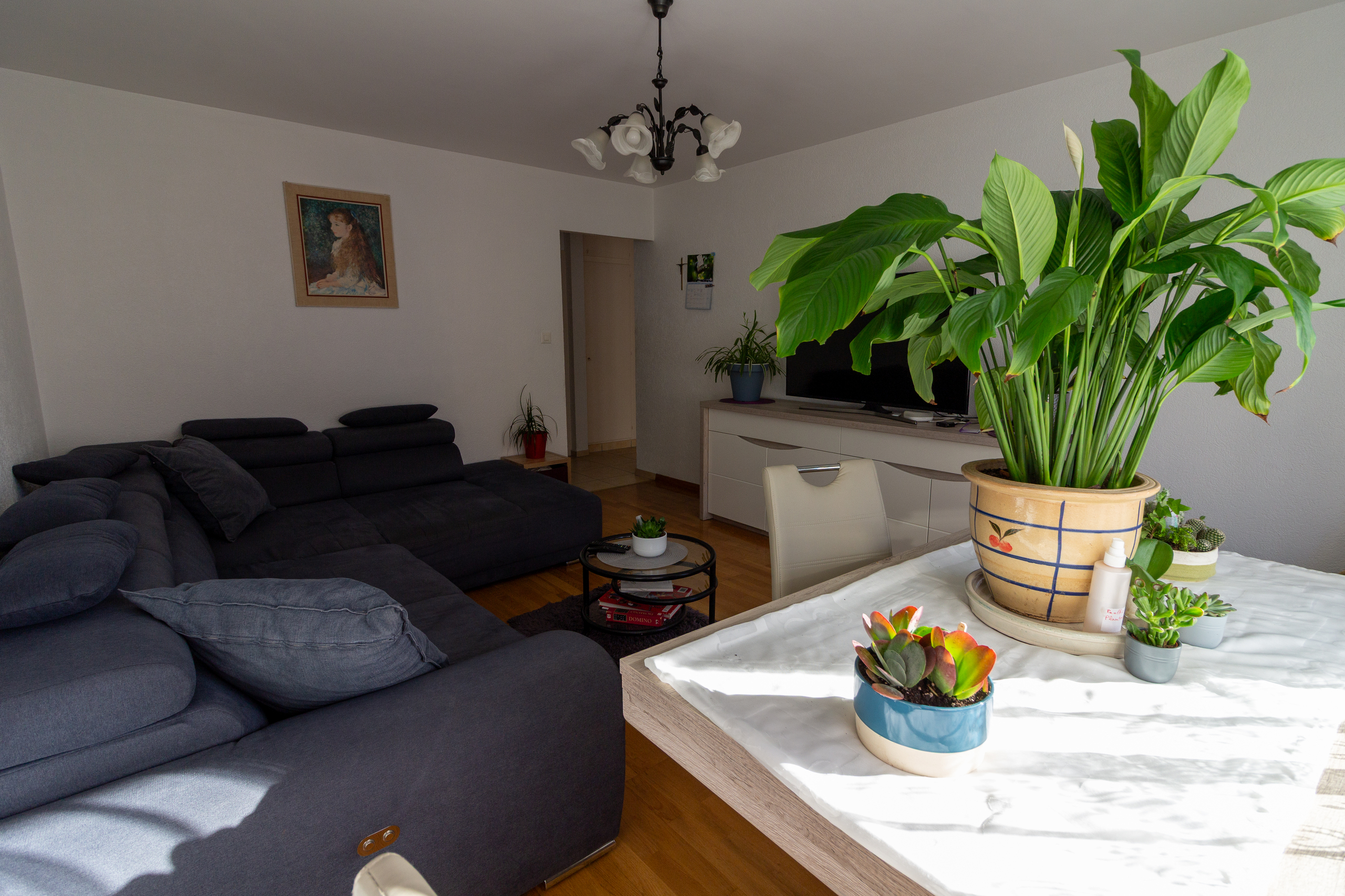 Interior view 2