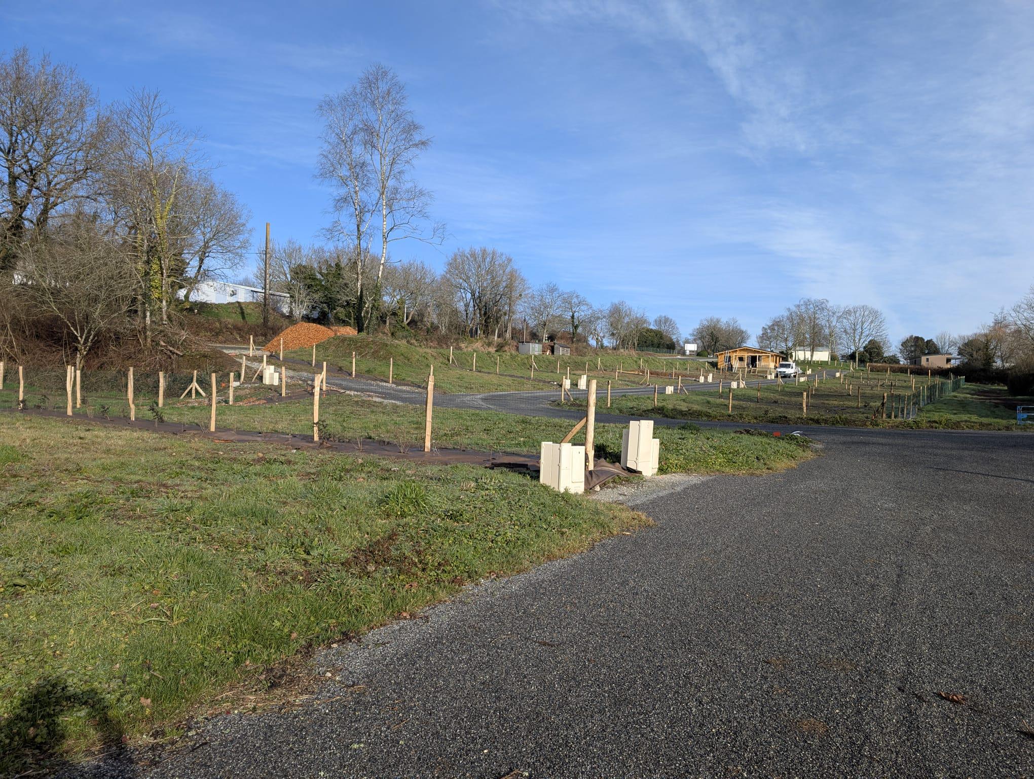 Picture 14