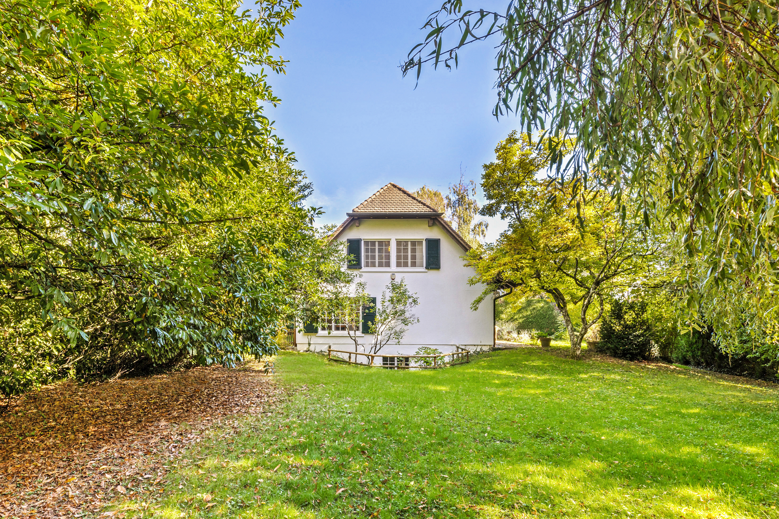 Grand jardin avec belle végétation Grand jardin avec belle végétation