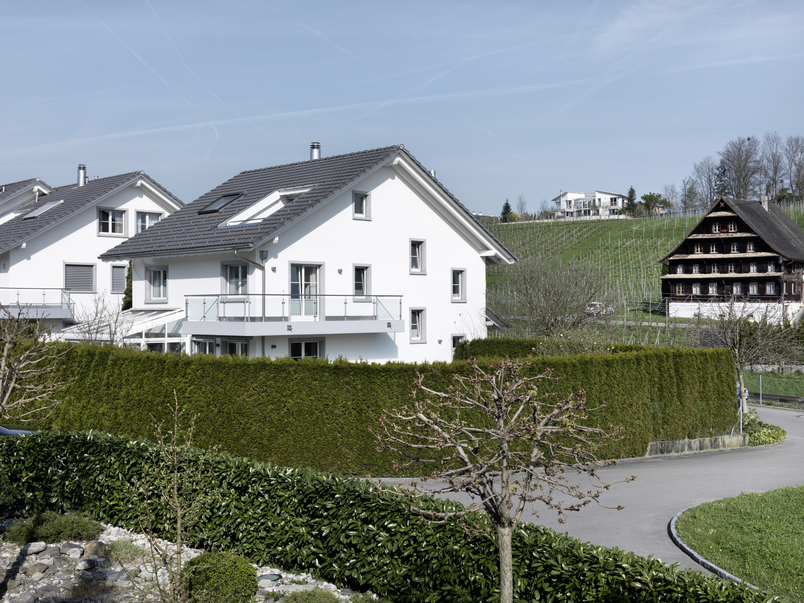 Immagine di copertina