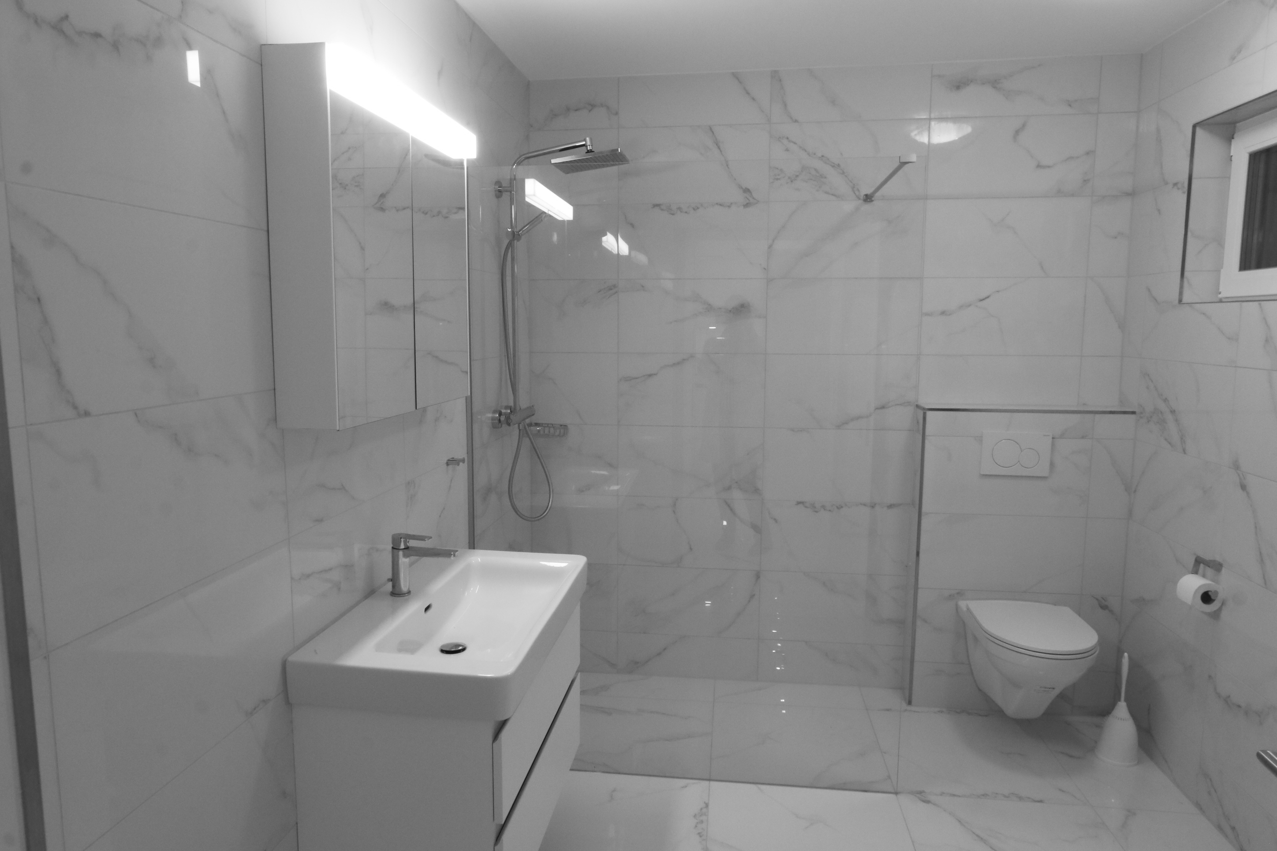 2.5 Zi Loft im EG, Bad mit Dusche, WC, Lavabo und eigenem Waschturm