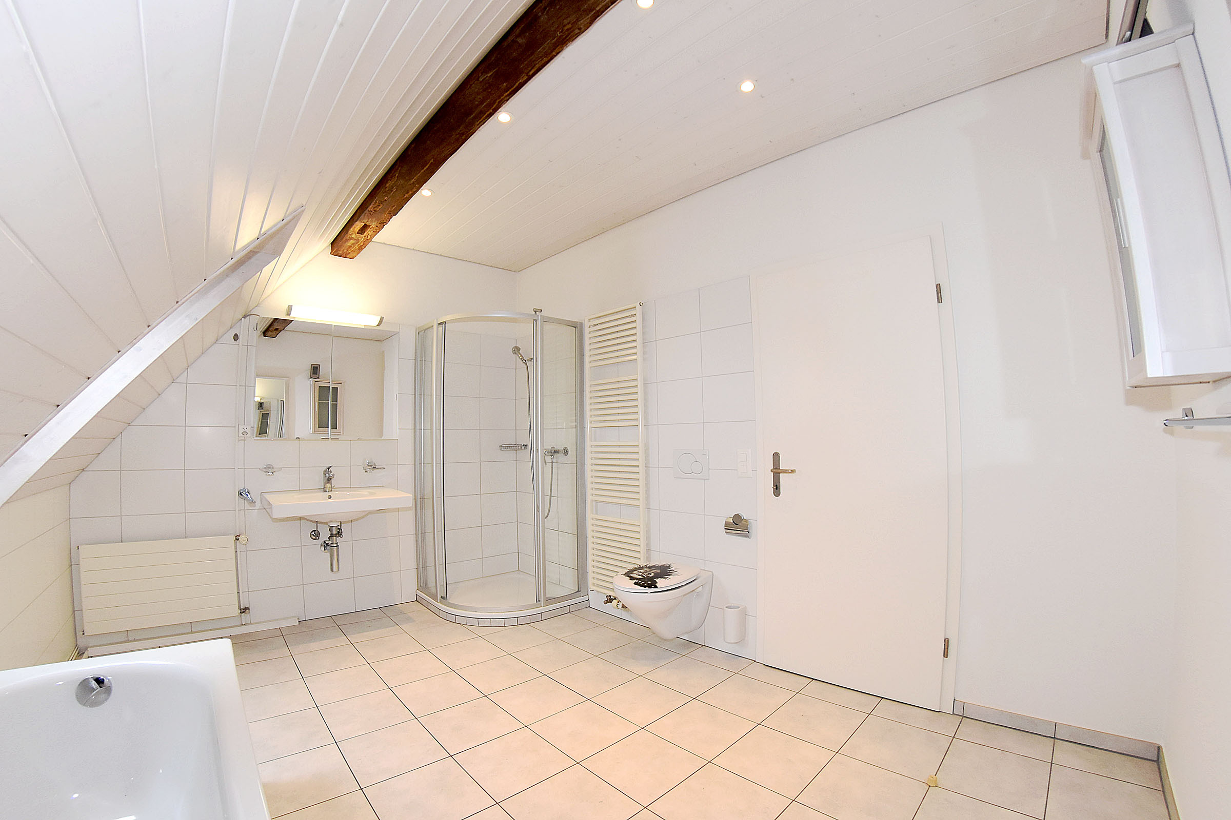 das grosse Bad im DG das grosse Bad im DG