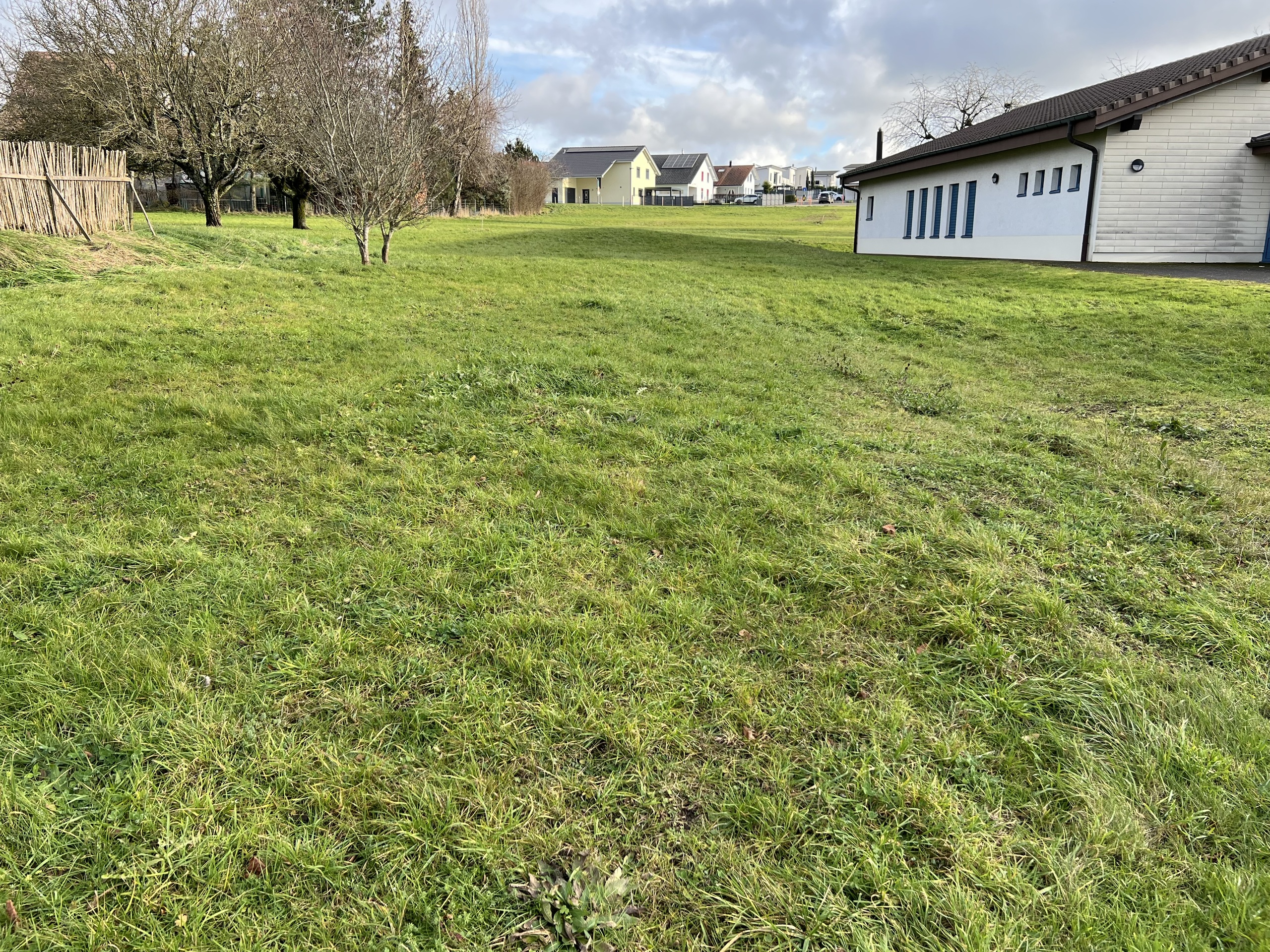 Large plot Large plot