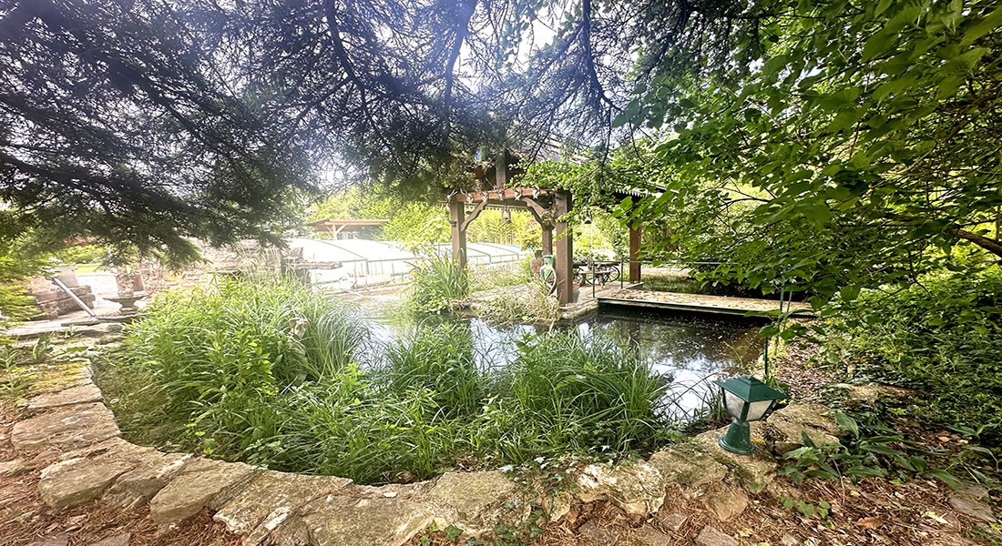 Foto 15