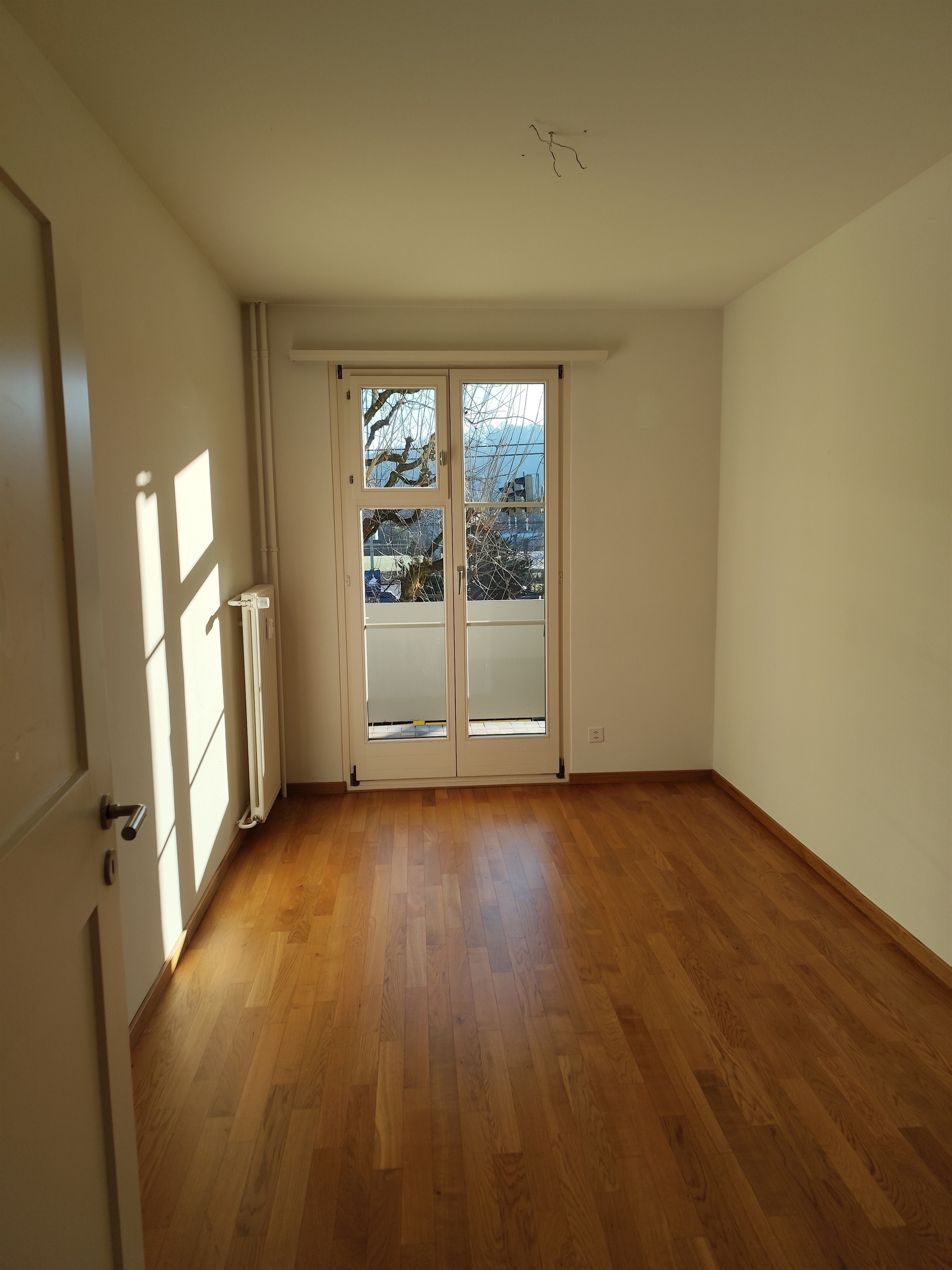 Picture 6