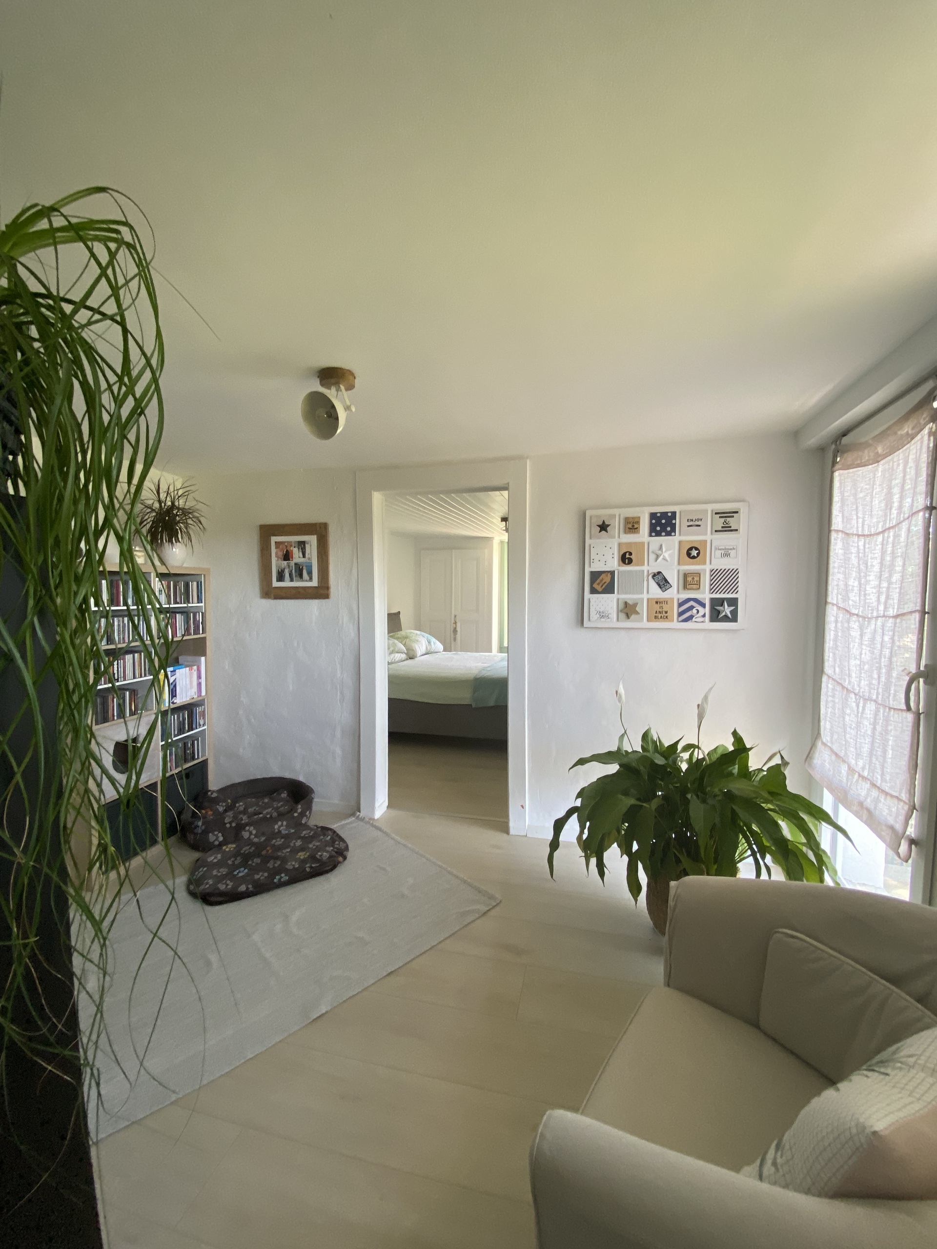 appartement 5.5 pièces