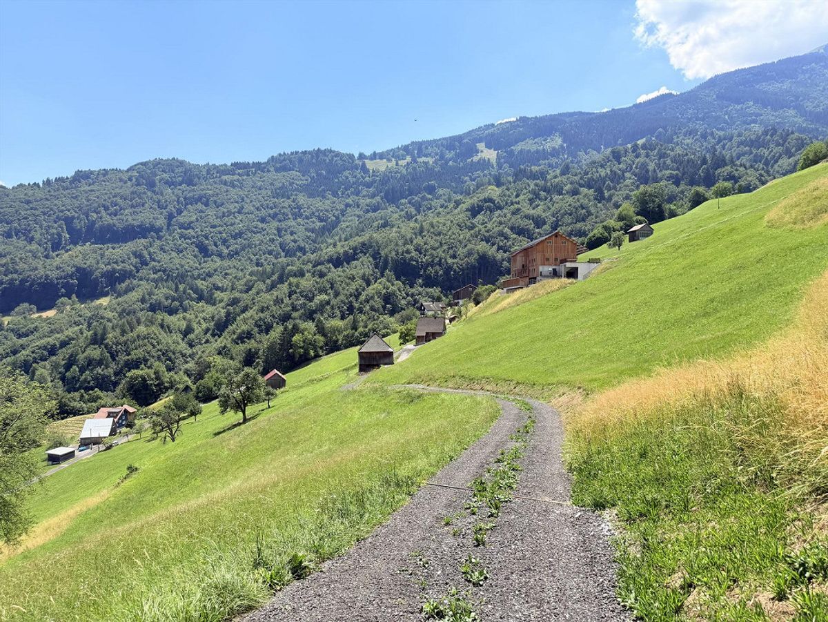 Foto 1