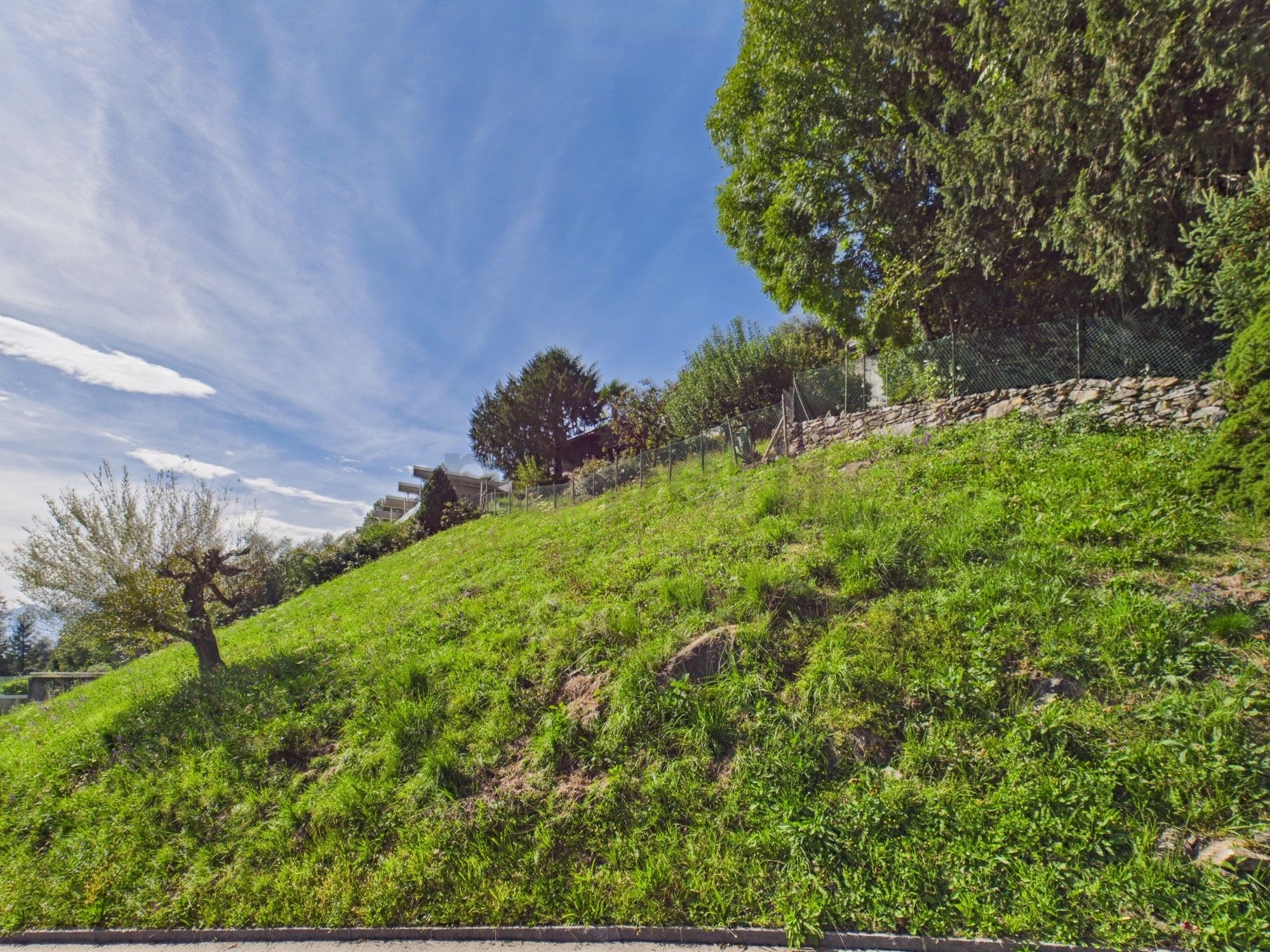 Image 3 Image 3