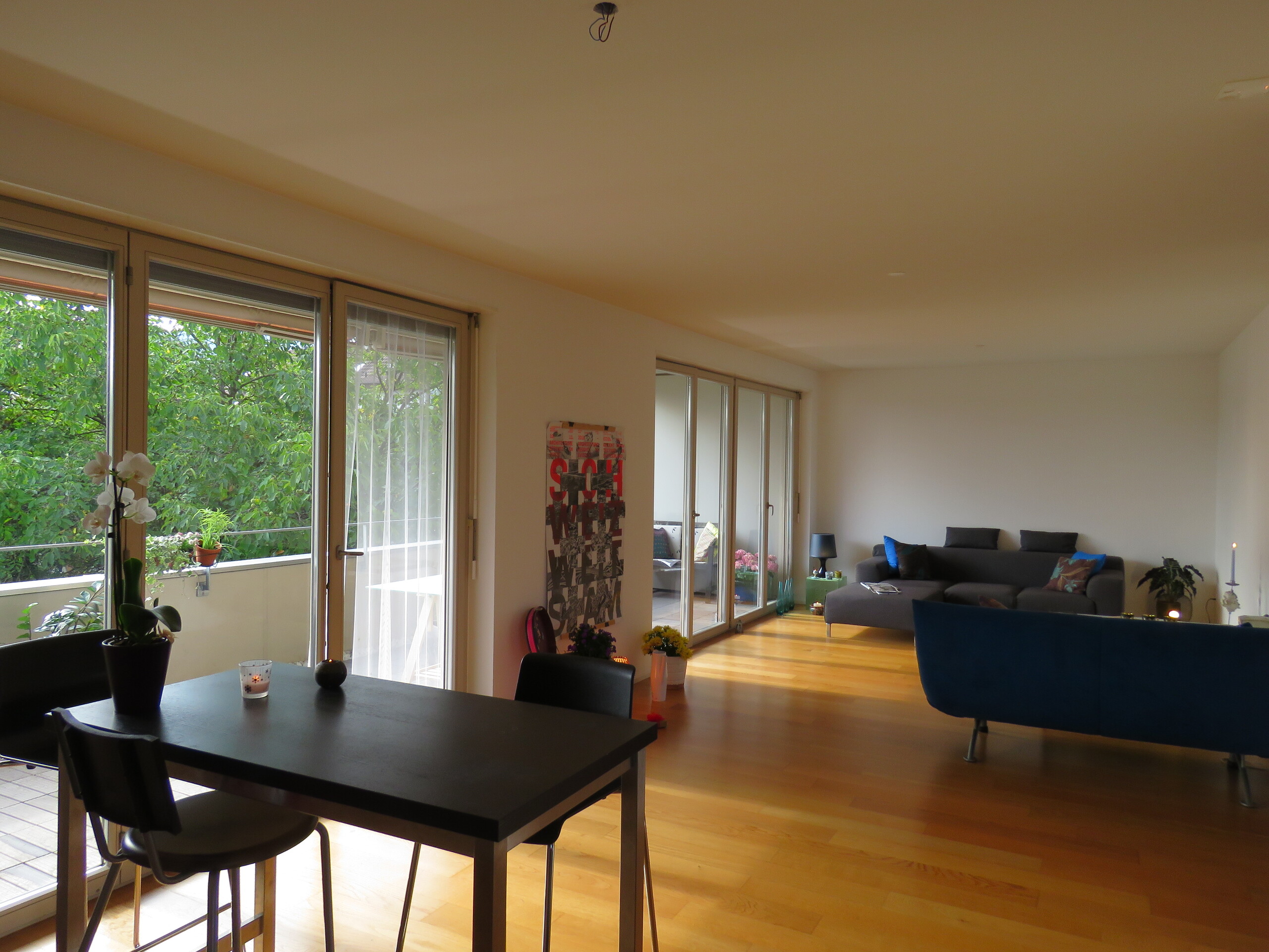 Wohn- / Esszimmer