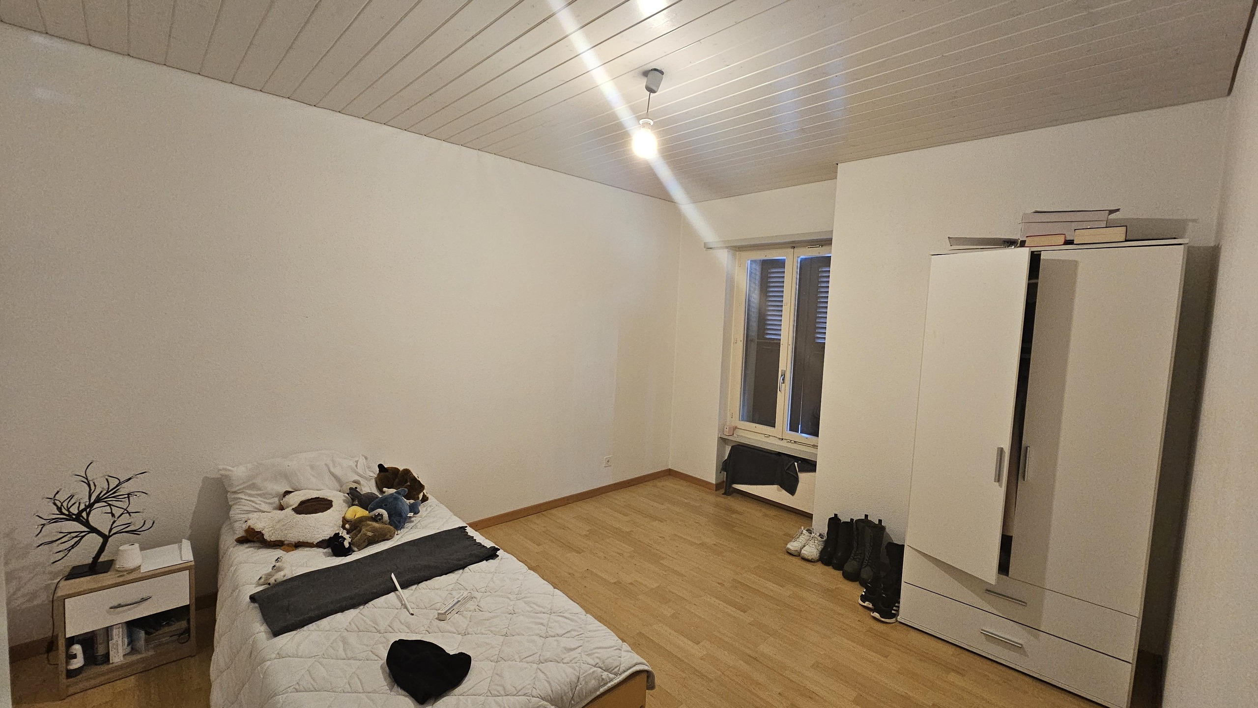 Appartement de 4.5 pièces
